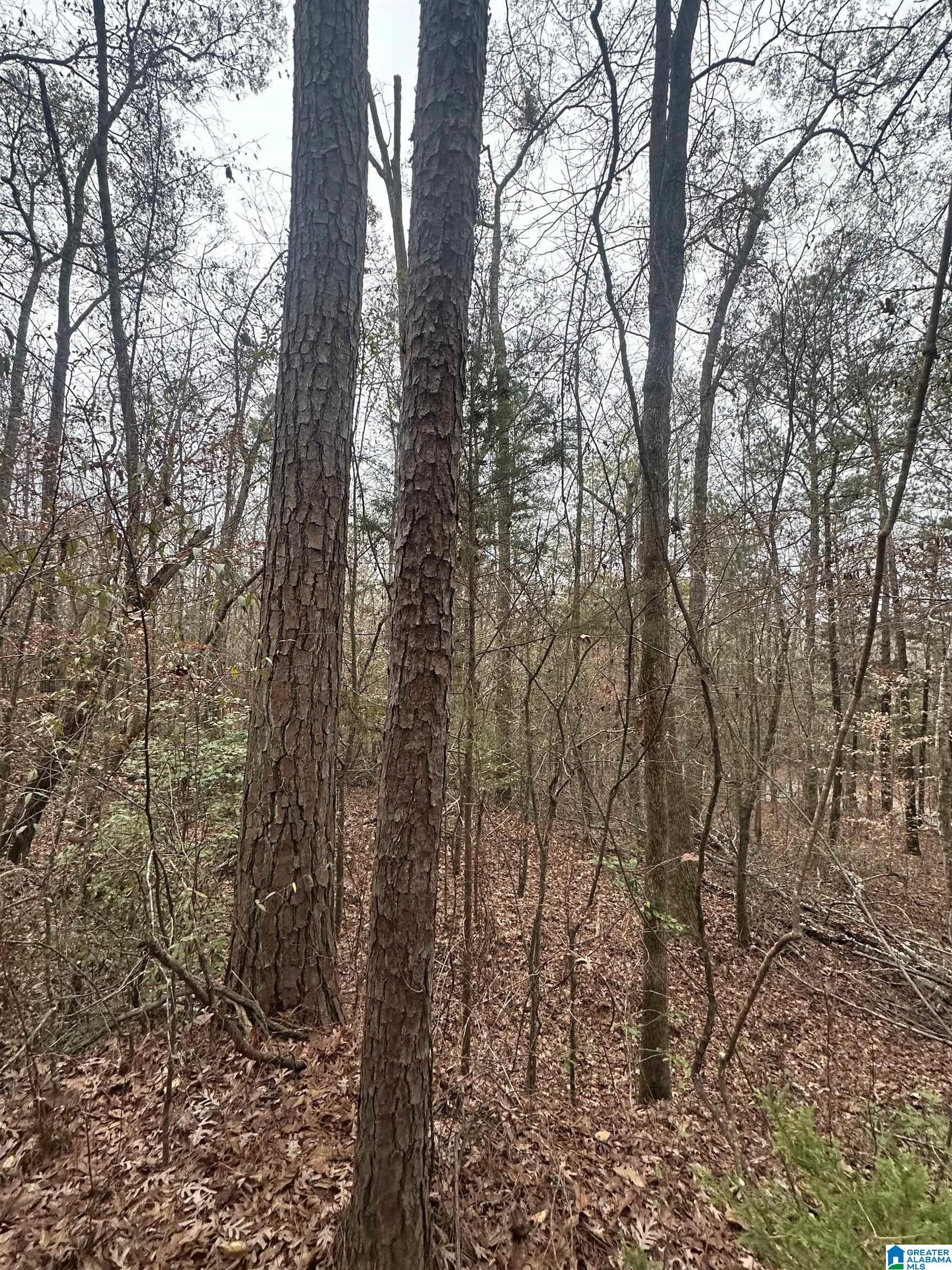 Homes for sale in Brent, AL | County Road 1, Brent, AL 35042 | MLS# 21442644