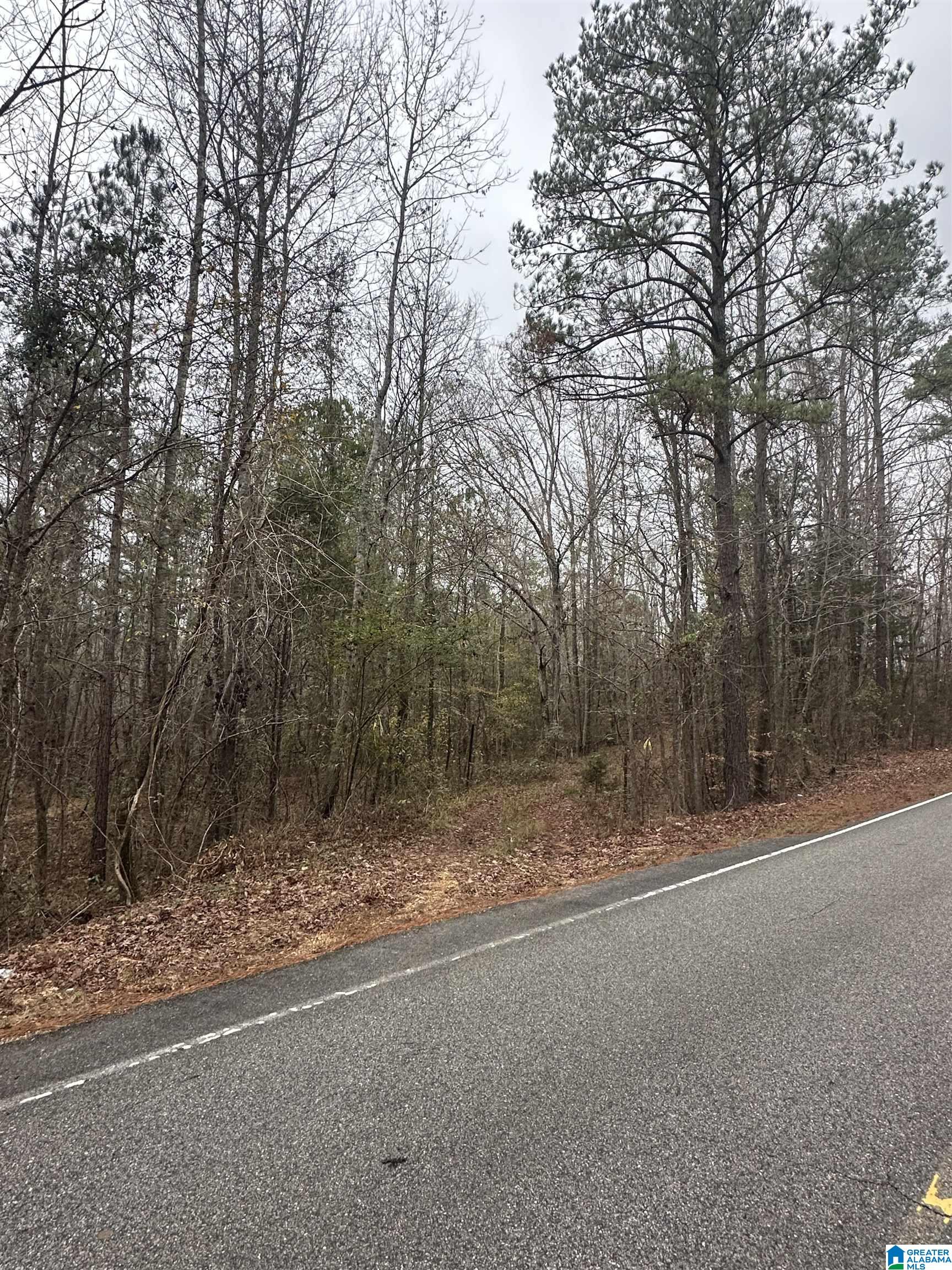 Homes for sale in Brent, AL | County Road 1, Brent, AL 35042 | MLS# 21442644