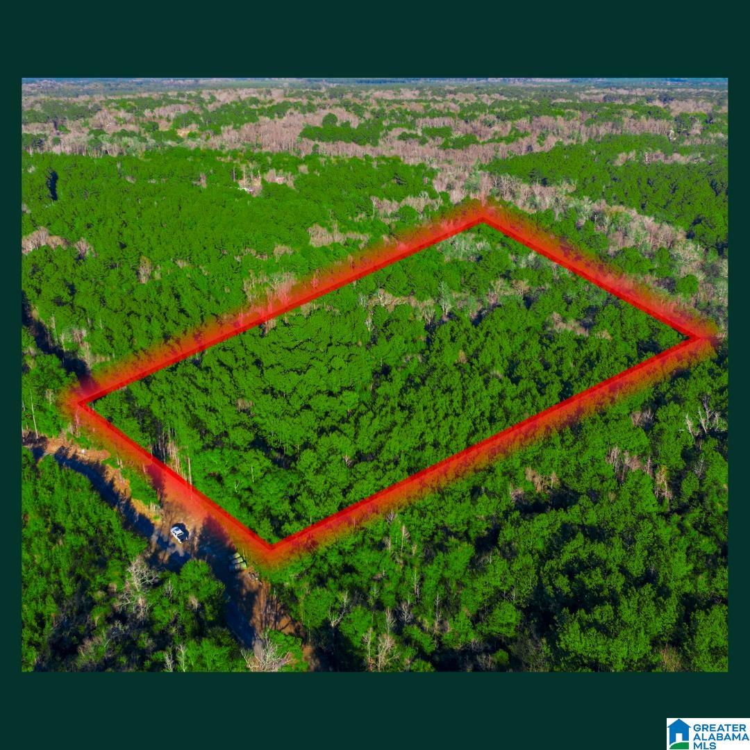 Homes for sale in Stockton, AL | 0 Cobb Lane, Stockton, AL 36579 | MLS# 21442646