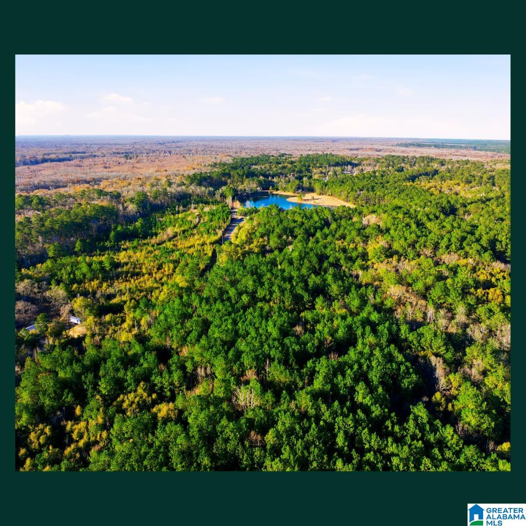 Homes for sale in Stockton, AL | 0 Cobb Lane, Stockton, AL 36579 | MLS# 21442646