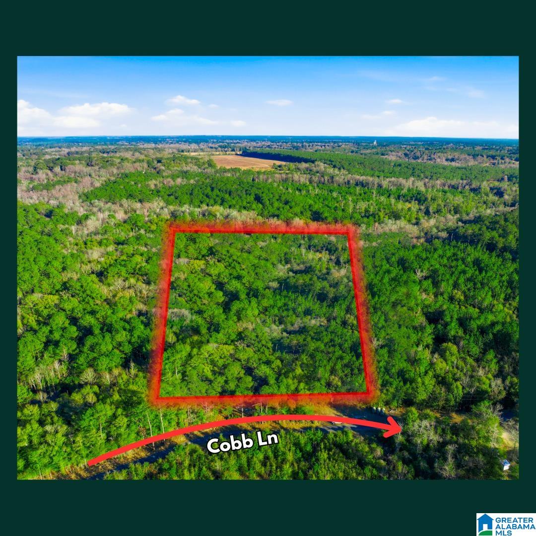 Homes for sale in Stockton, AL | 0 Cobb Lane, Stockton, AL 36579 | MLS# 21442646