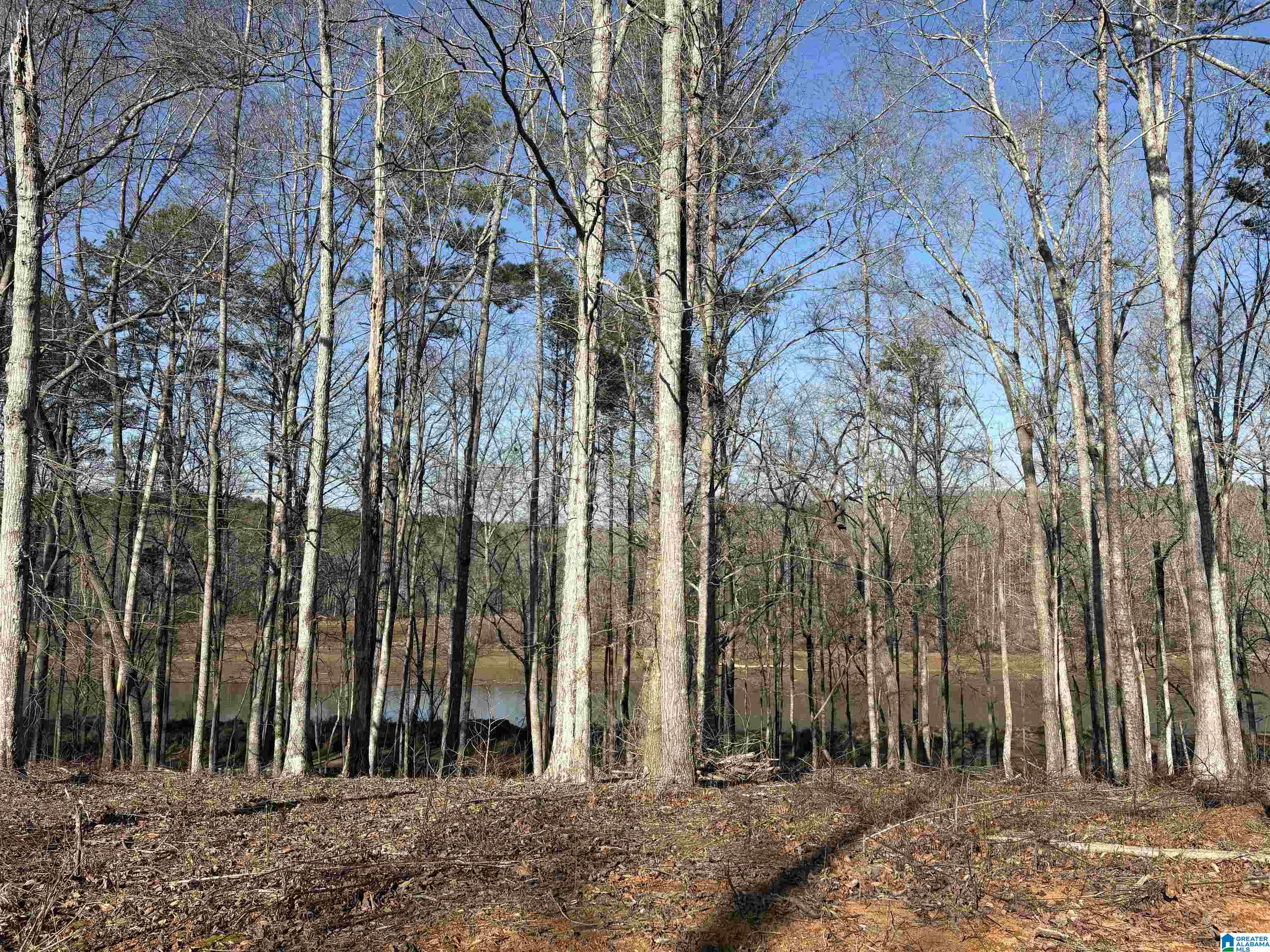 Homes for sale in Woodland, AL | Lot 12 County Road 499, Woodland, AL 36280 | MLS# 21442652