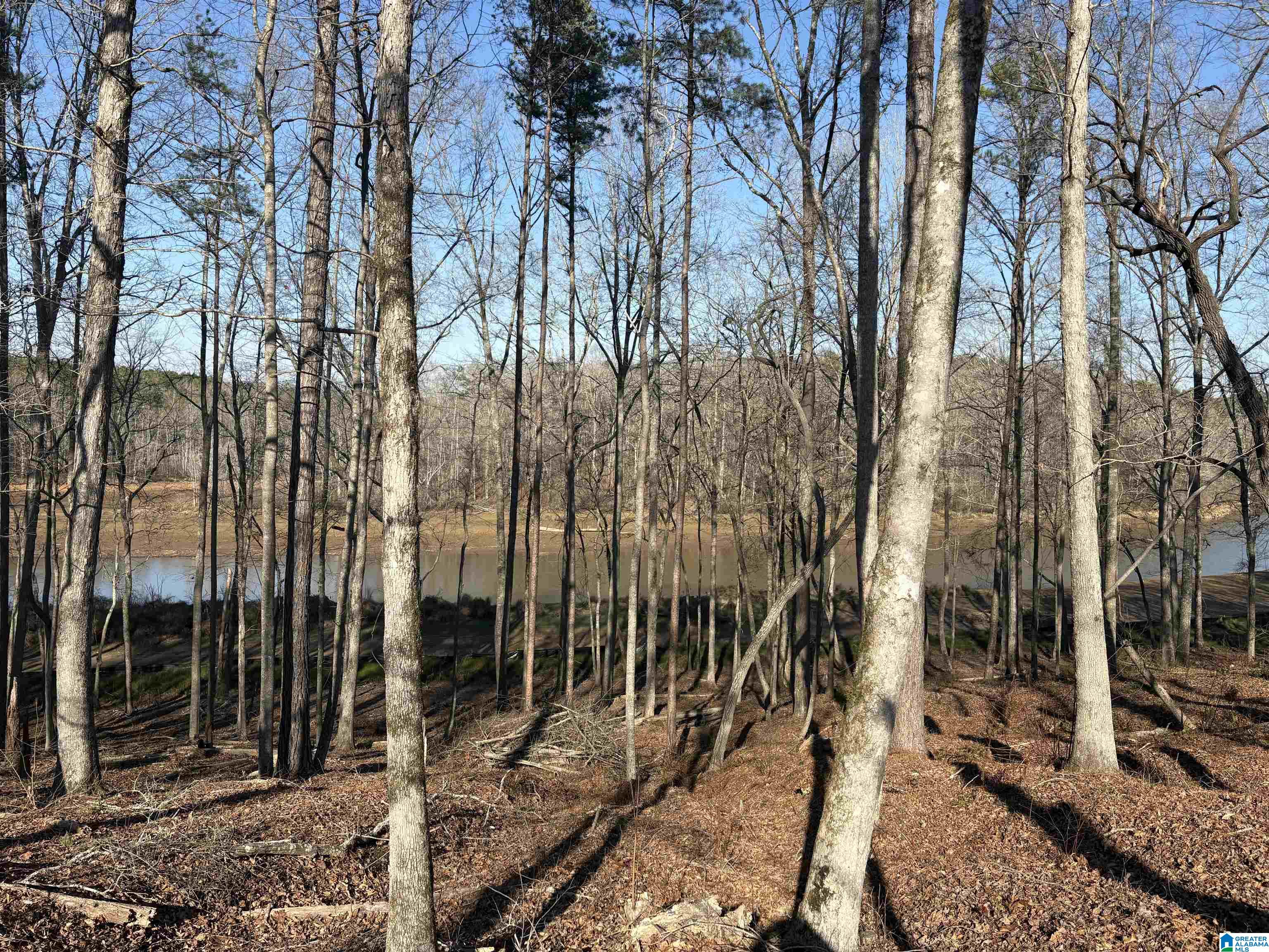 Homes for sale in Woodland, AL | Lot 12 County Road 499, Woodland, AL 36280 | MLS# 21442652