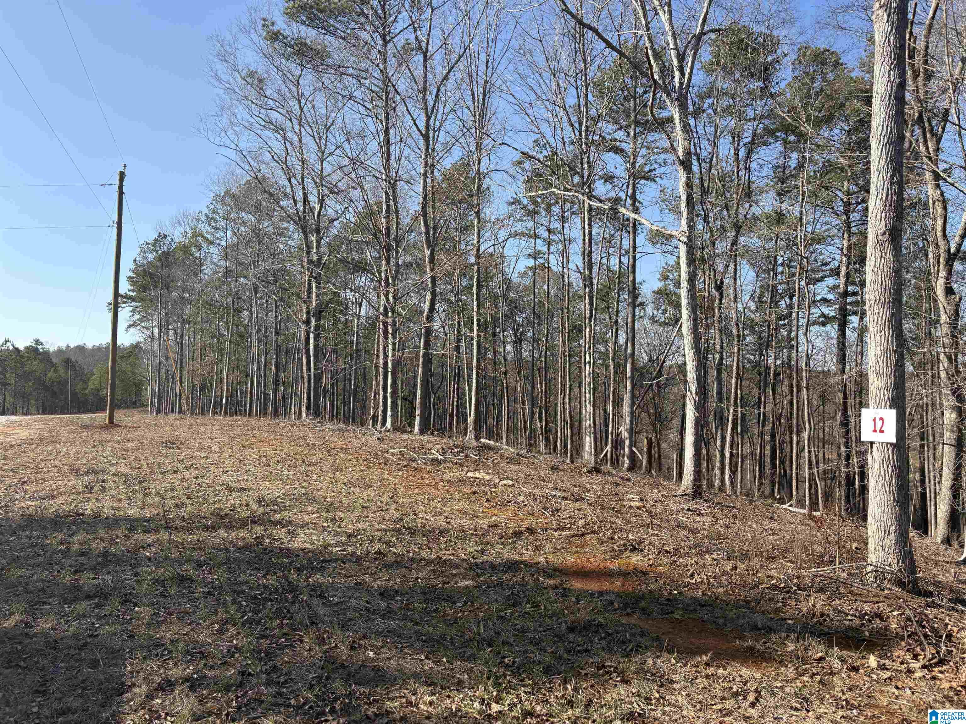 Homes for sale in Woodland, AL | Lot 12 County Road 499, Woodland, AL 36280 | MLS# 21442652