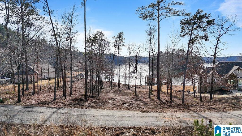 Homes for sale in Rockford, AL | 2147 Eagle Mountain Road, Rockford, AL 35136 | MLS# 21442661