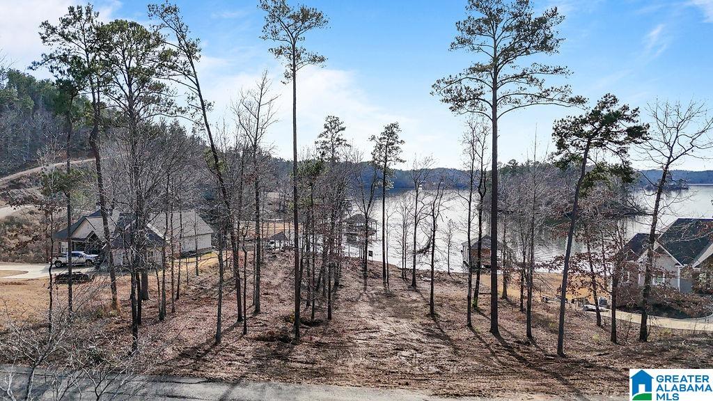 Homes for sale in Rockford, AL | 2147 Eagle Mountain Road, Rockford, AL 35136 | MLS# 21442661