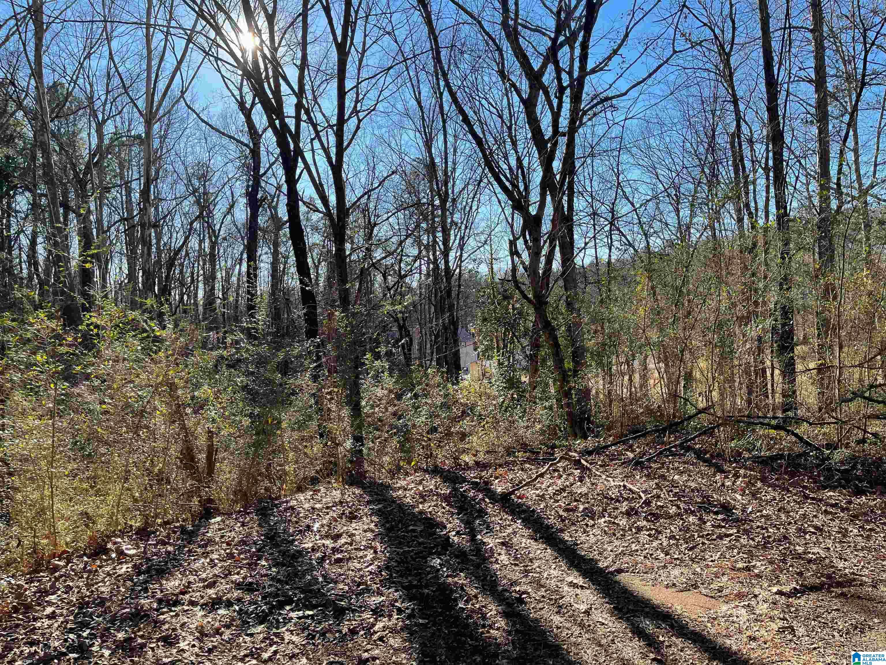 Homes for sale in Jacksonville, AL | 6123 Alexandria Jacksonville Hwy, Jacksonville, AL 36265 | MLS# 21442666