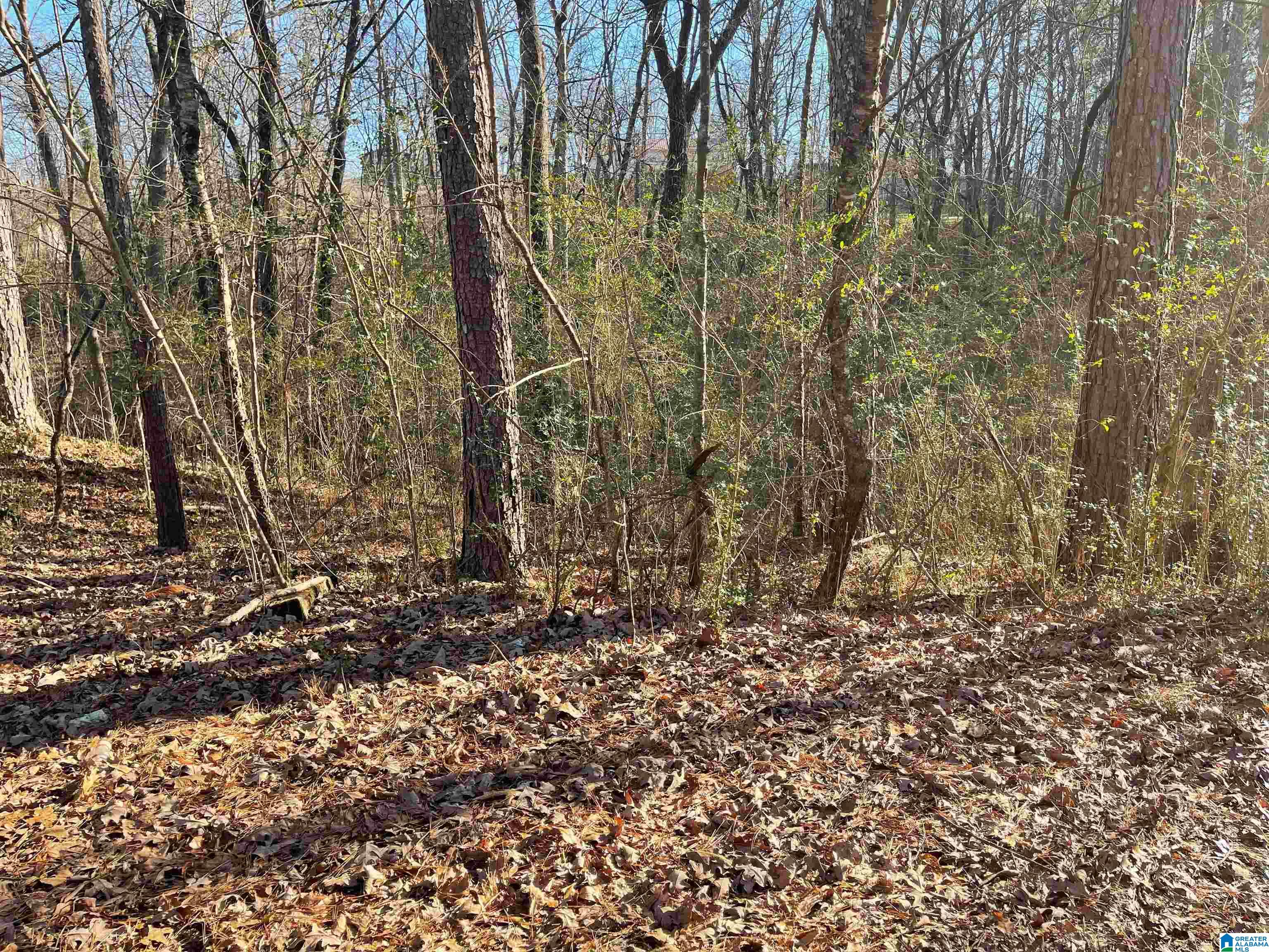 Homes for sale in Jacksonville, AL | 6123 Alexandria Jacksonville Hwy, Jacksonville, AL 36265 | MLS# 21442666