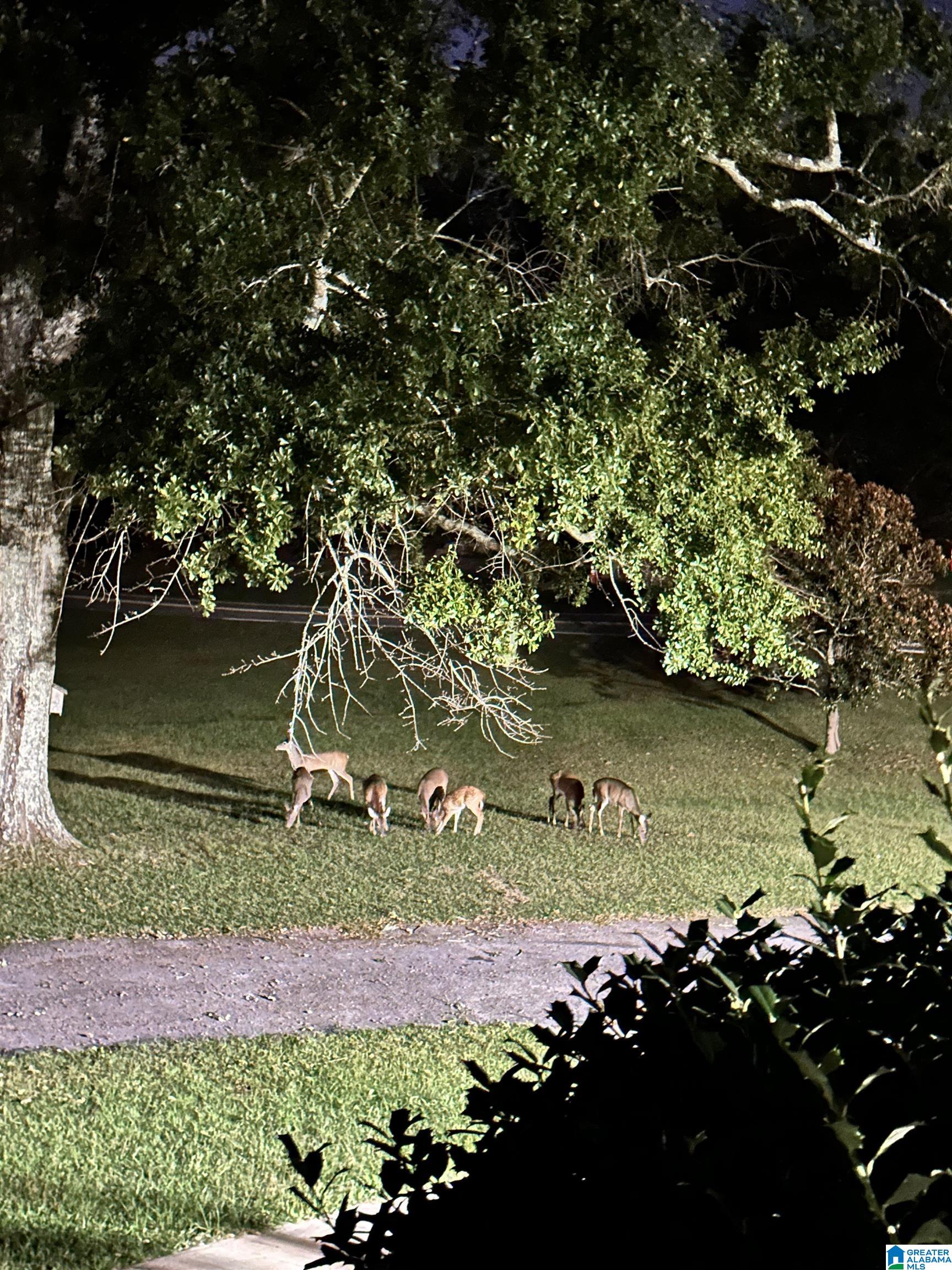 Homes for sale in Columbiana, AL | 3755 County Road 331, Columbiana, AL 35051 | MLS# 21442691