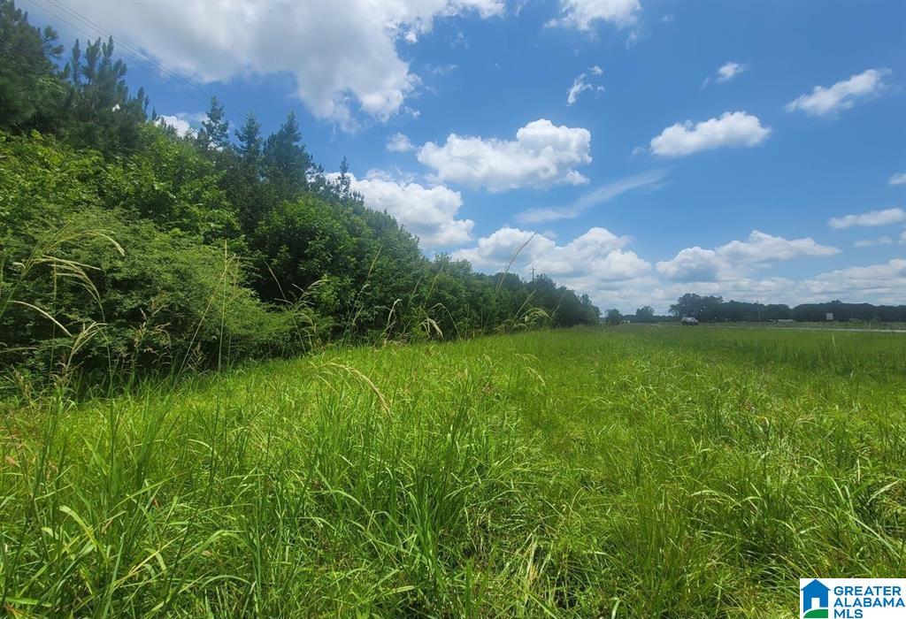Homes for sale in Harpersville, AL | 0 Hwy 280, Harpersville, AL 35078 | MLS# 21442737