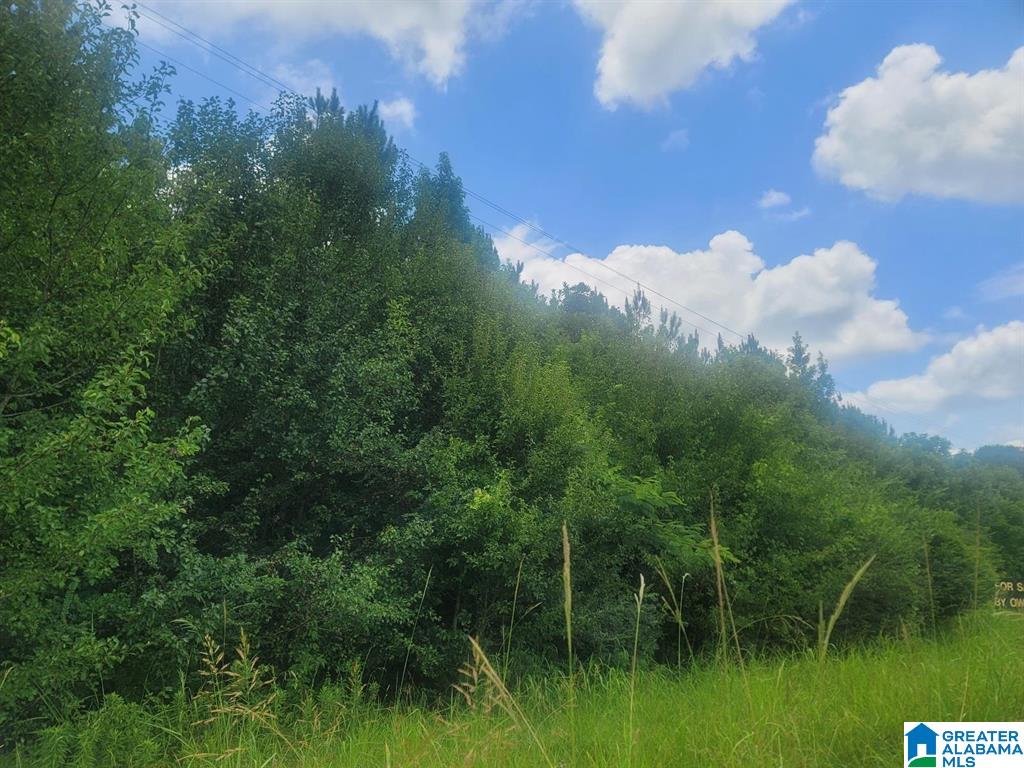 Homes for sale in Harpersville, AL | 0 Hwy 280, Harpersville, AL 35078 | MLS# 21442737