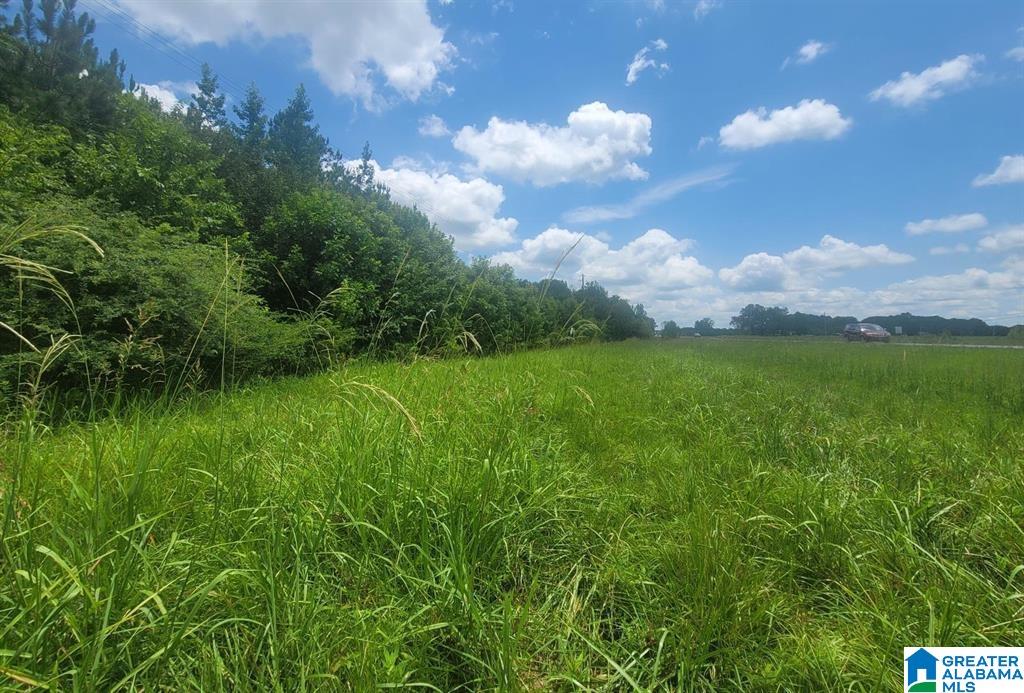 Homes for sale in Harpersville, AL | 0 Hwy 280, Harpersville, AL 35078 | MLS# 21442737