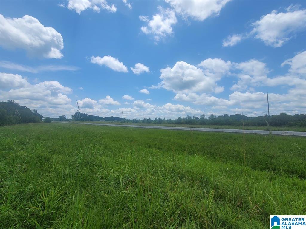 Homes for sale in Harpersville, AL | 0 Hwy 280, Harpersville, AL 35078 | MLS# 21442737