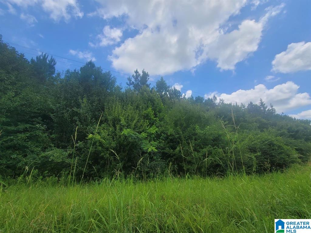 Homes for sale in Harpersville, AL | 0 Hwy 280, Harpersville, AL 35078 | MLS# 21442737
