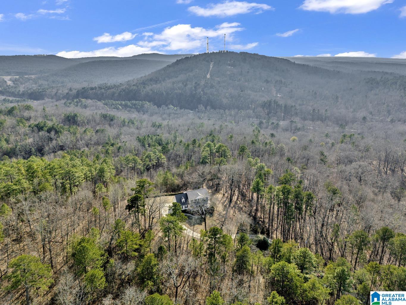 Homes for sale in Warrior, AL | 1002 Long Leaf Trail, Warrior, AL 35180 | MLS# 21442749