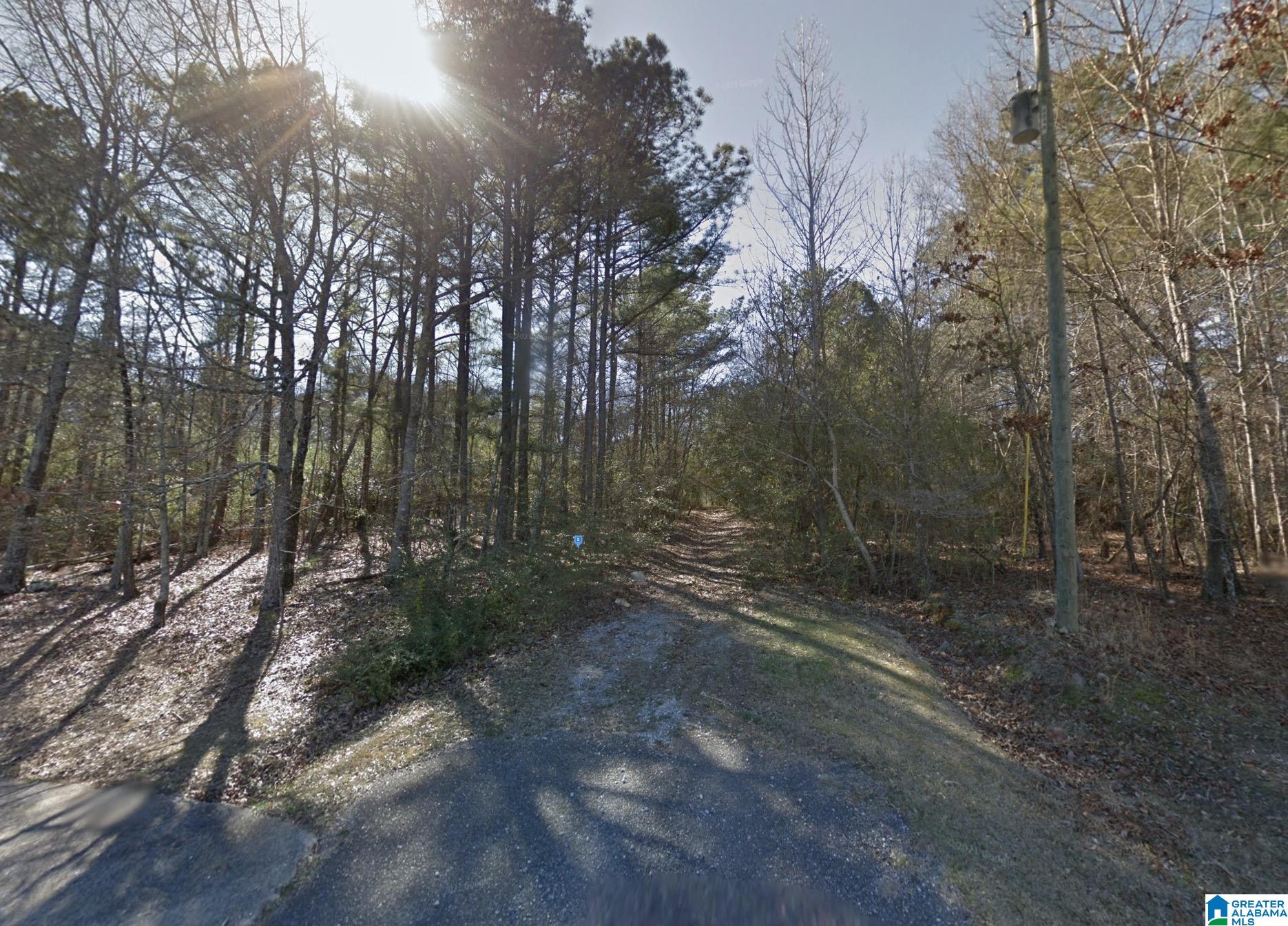 Homes for sale in Pell City, AL | 2555 Greenway Road, Pell City, AL 35128 | MLS# 21442801