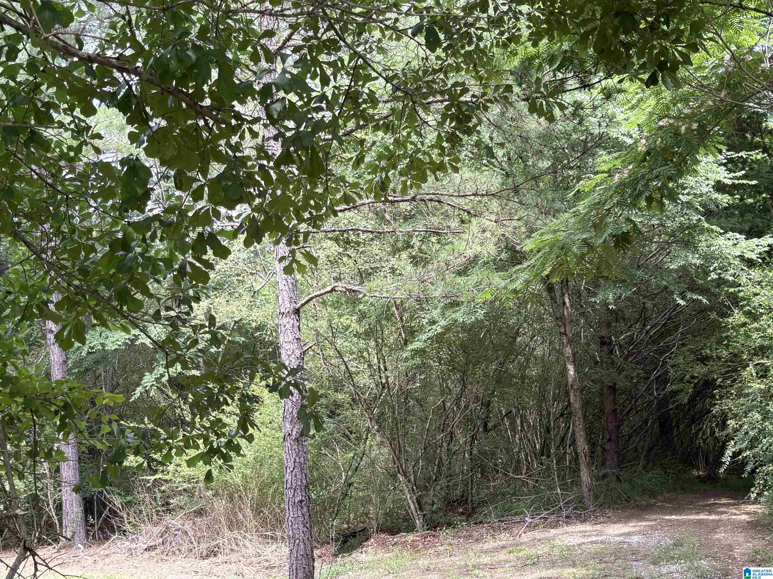 0 LORA LANE