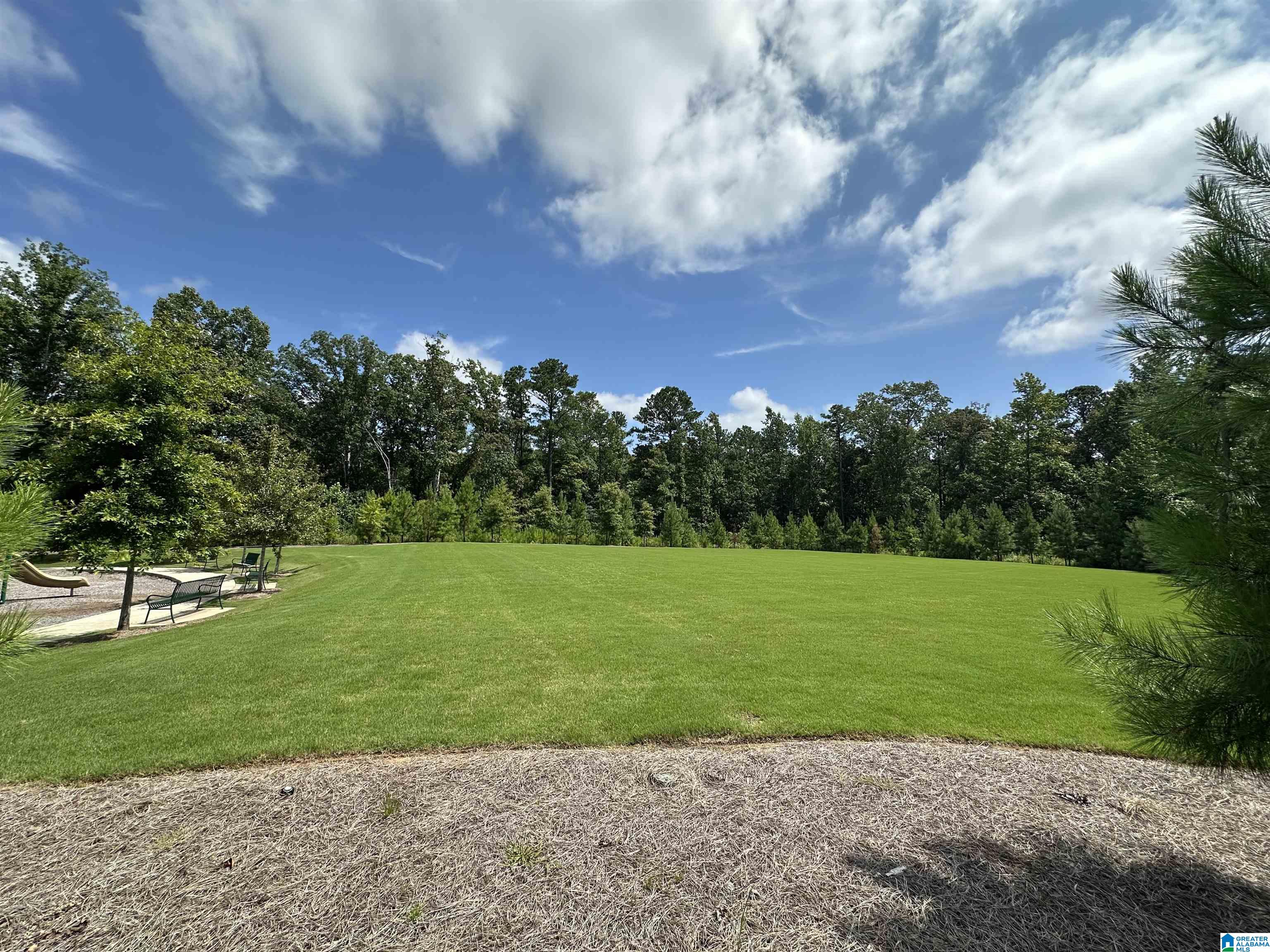 Homes for sale in Leeds, AL | 1019 Grand River Boulevard W, Leeds, AL 35094 | MLS# 21442816