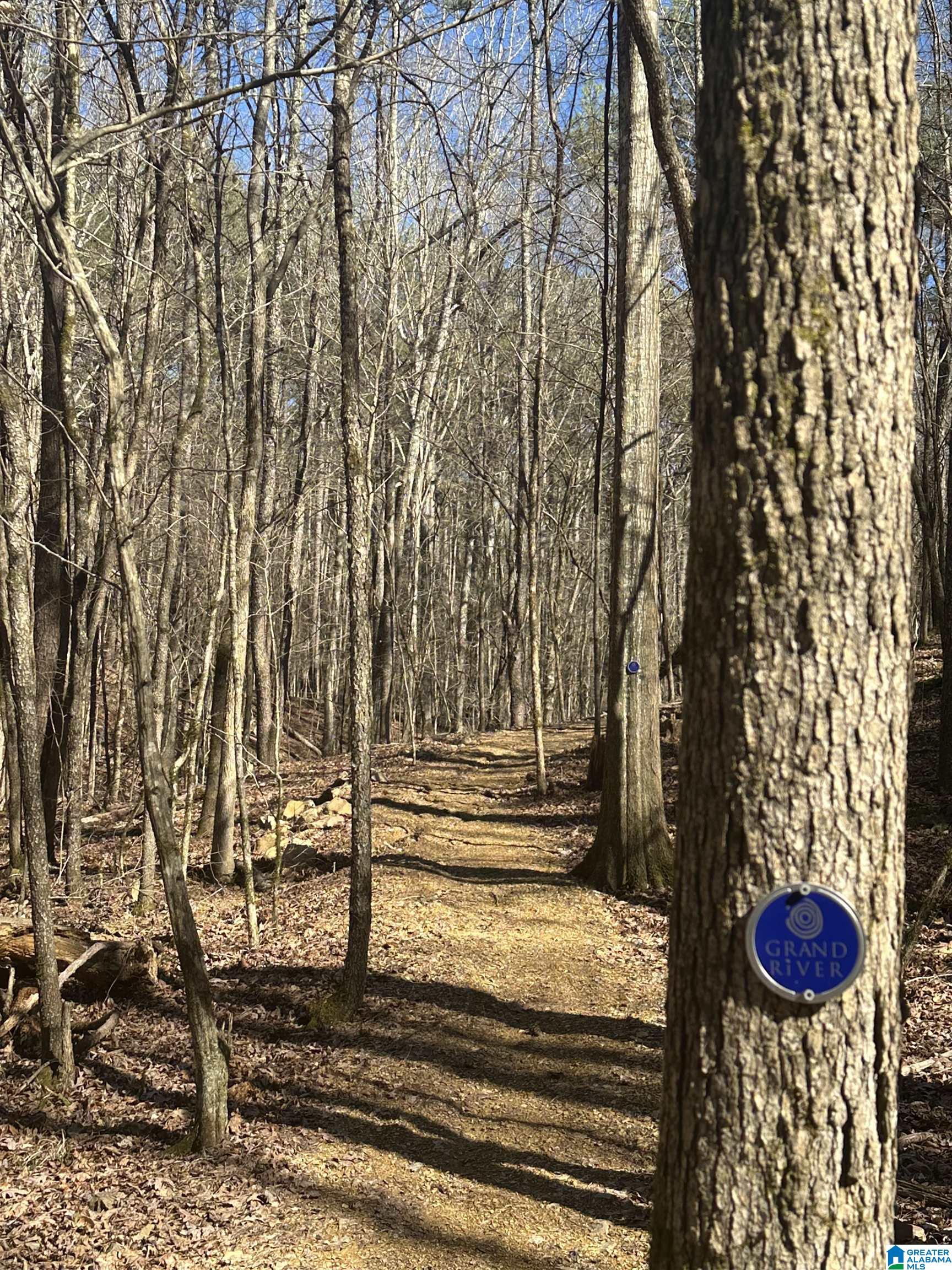 Homes for sale in Leeds, AL | 1019 Grand River Boulevard W, Leeds, AL 35094 | MLS# 21442816