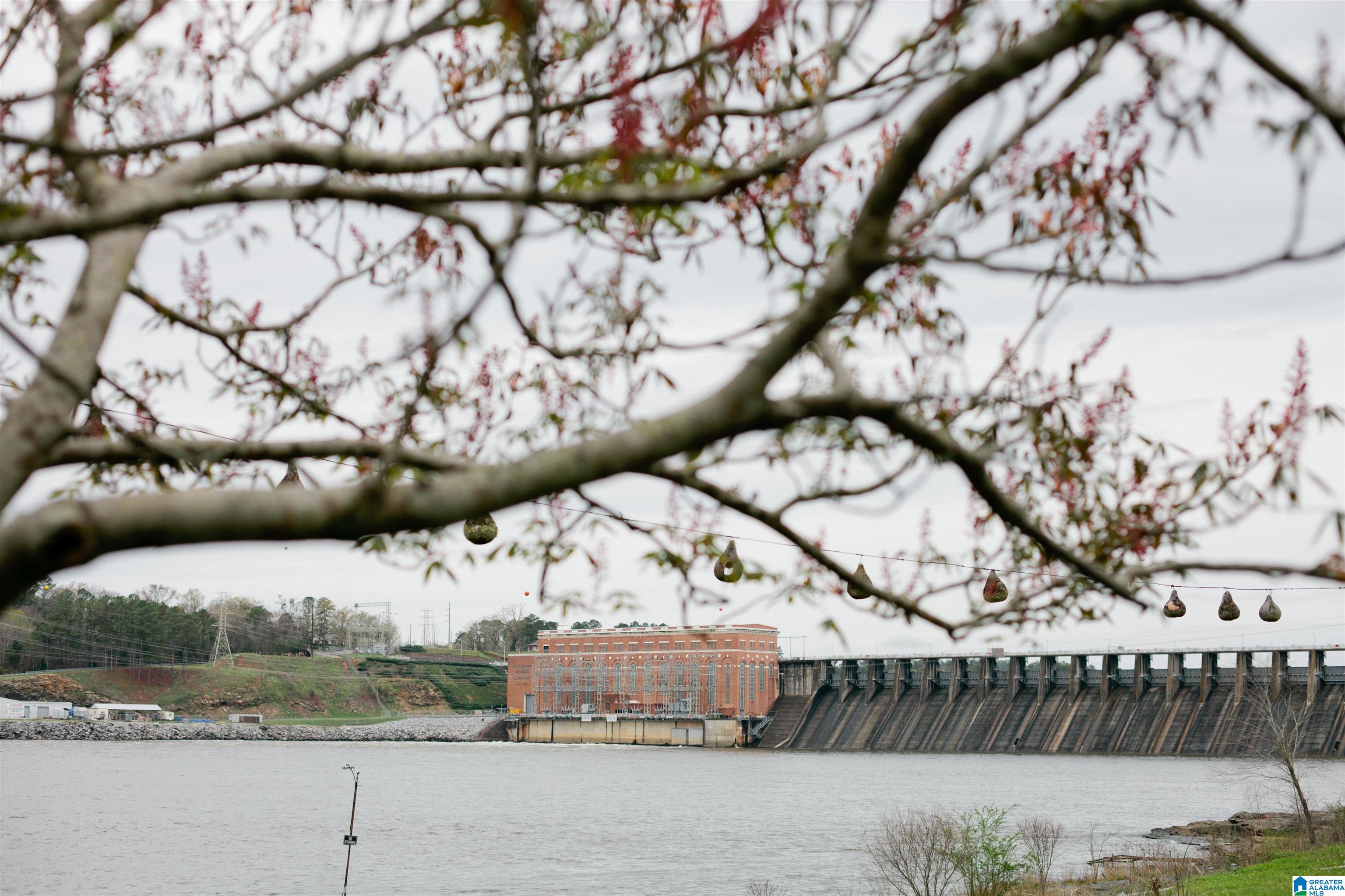 Homes for sale in Clanton, AL | 174 River Run Road, Clanton, AL 35046 | MLS# 21442828