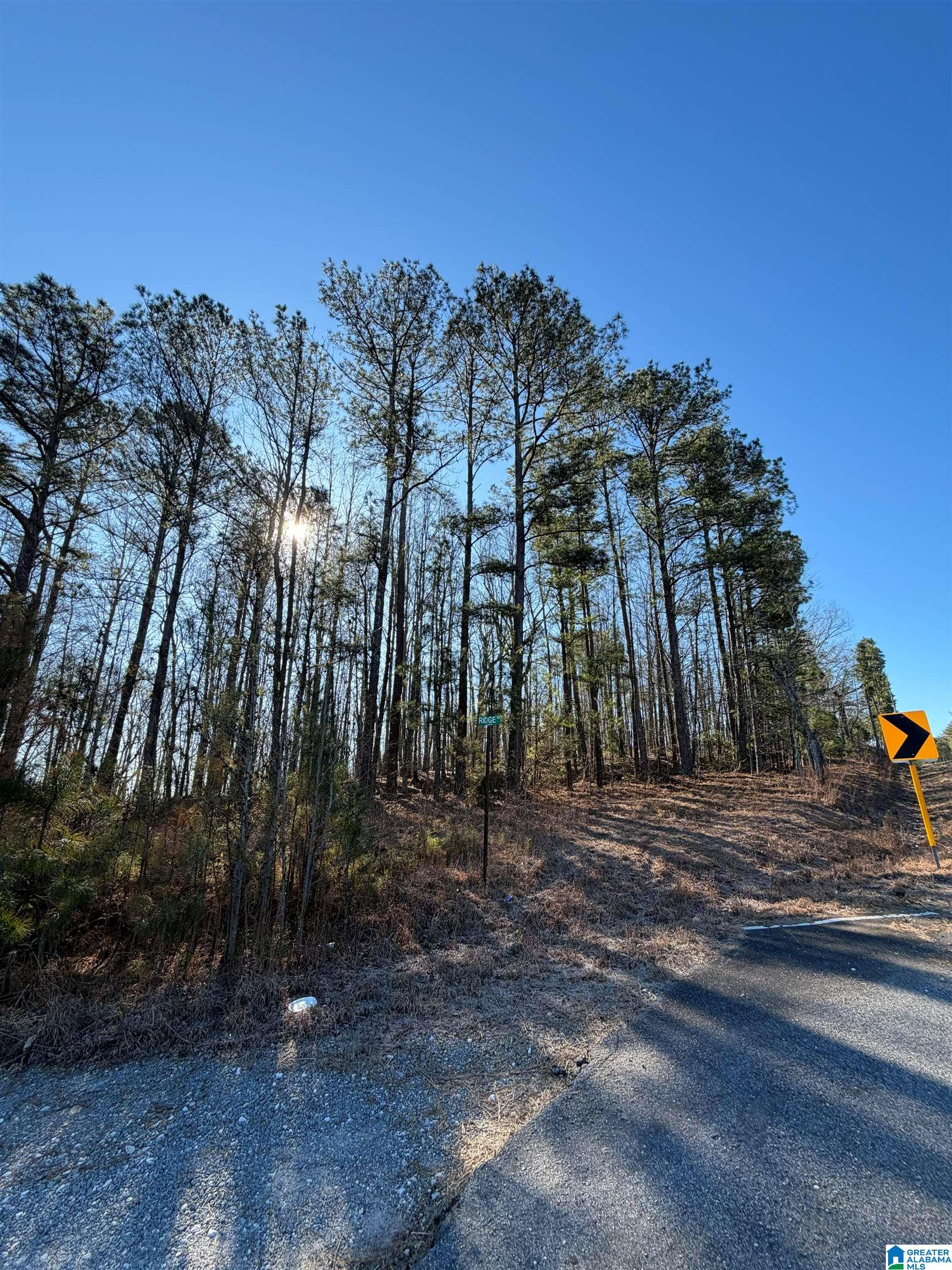 Homes for sale in Cragford, AL | 0 Ridge Road, Cragford, AL 36255 | MLS# 21442839