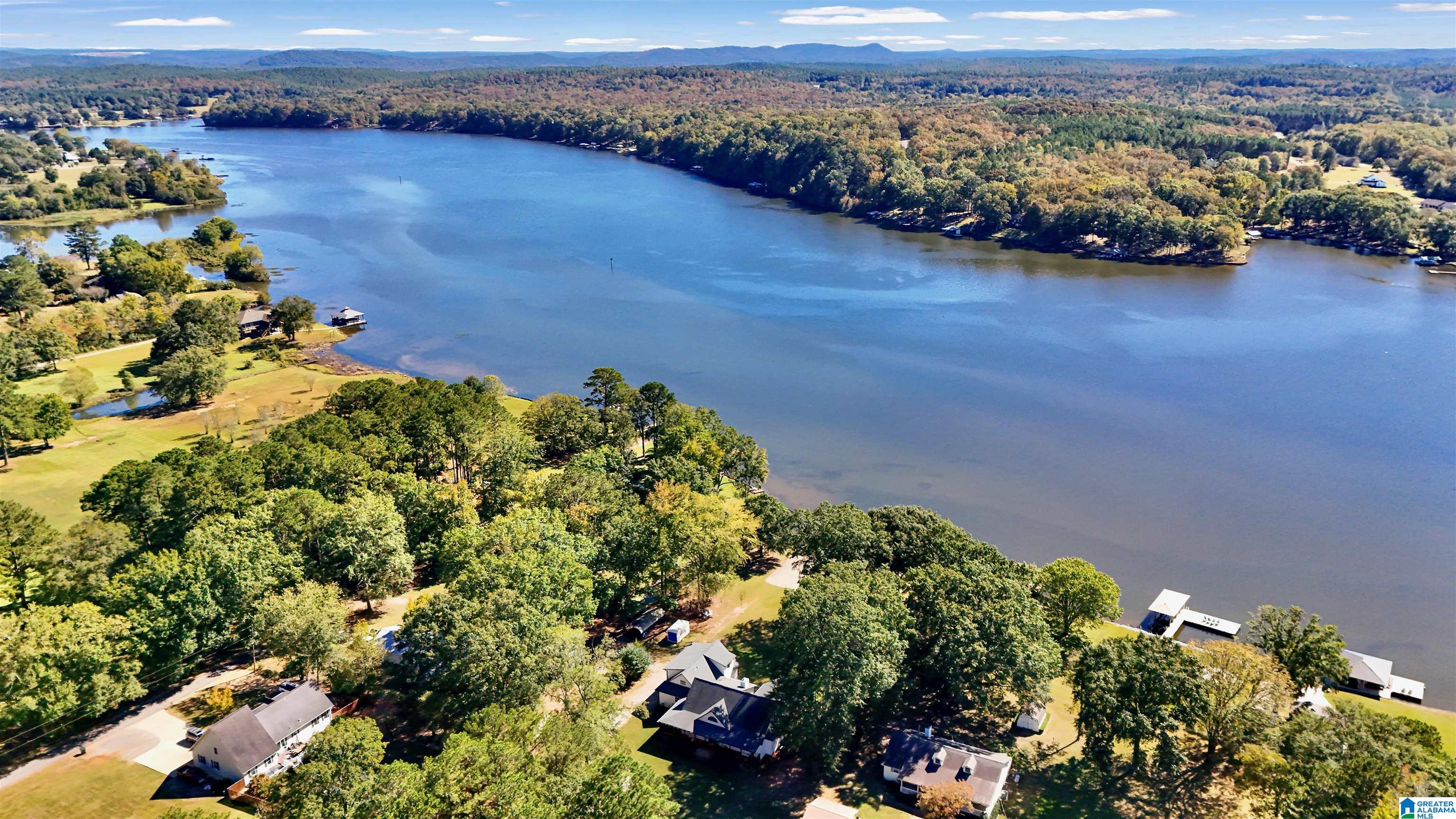 Homes for sale in Wilsonville, AL | 555 Mountain View Dr, Wilsonville, AL 35186 | MLS# 21442843