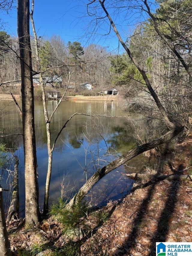 Homes for sale in Birmingham, AL | 1 Mountain Top Road, Birmingham, AL 35242 | MLS# 21442889