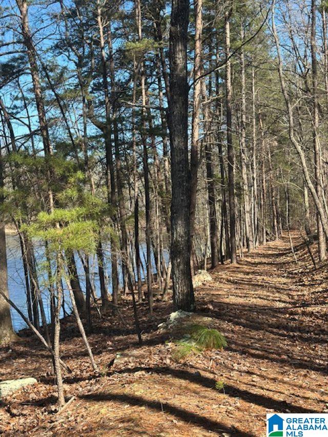 Homes for sale in Birmingham, AL | 1 Mountain Top Road, Birmingham, AL 35242 | MLS# 21442889