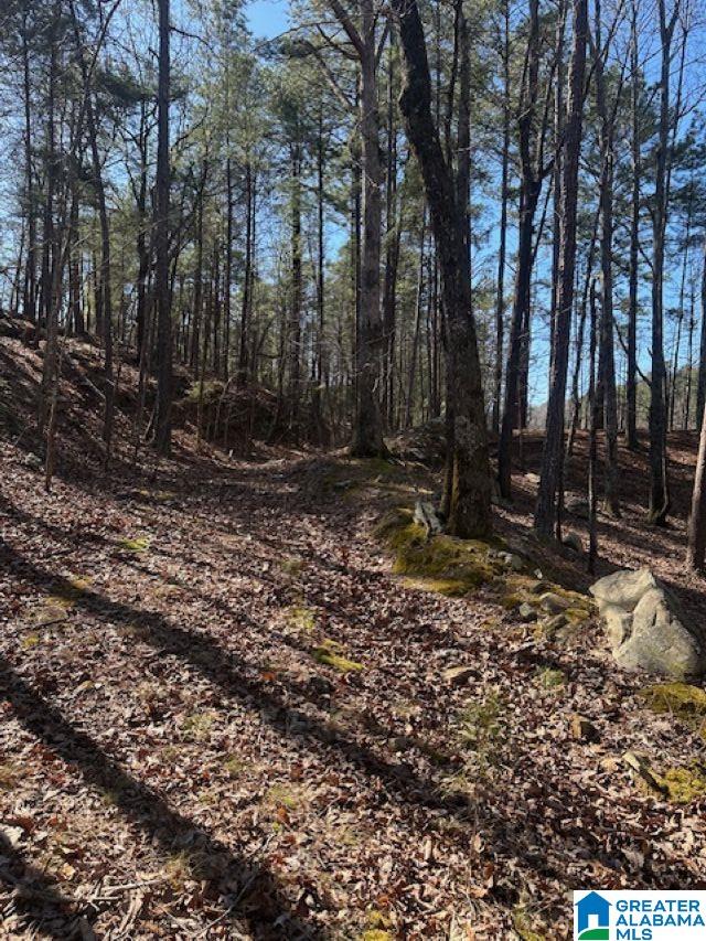 Homes for sale in Birmingham, AL | 1 Mountain Top Road, Birmingham, AL 35242 | MLS# 21442889