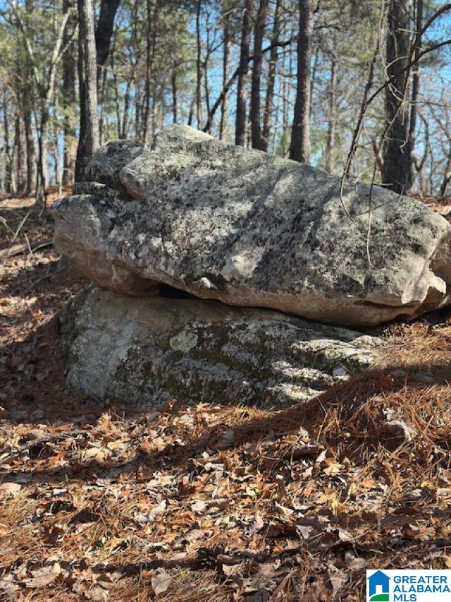 Homes for sale in Birmingham, AL | 1 Mountain Top Road, Birmingham, AL 35242 | MLS# 21442889