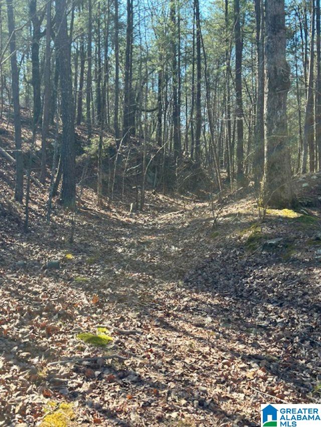 Homes for sale in Birmingham, AL | 1 Mountain Top Road, Birmingham, AL 35242 | MLS# 21442889