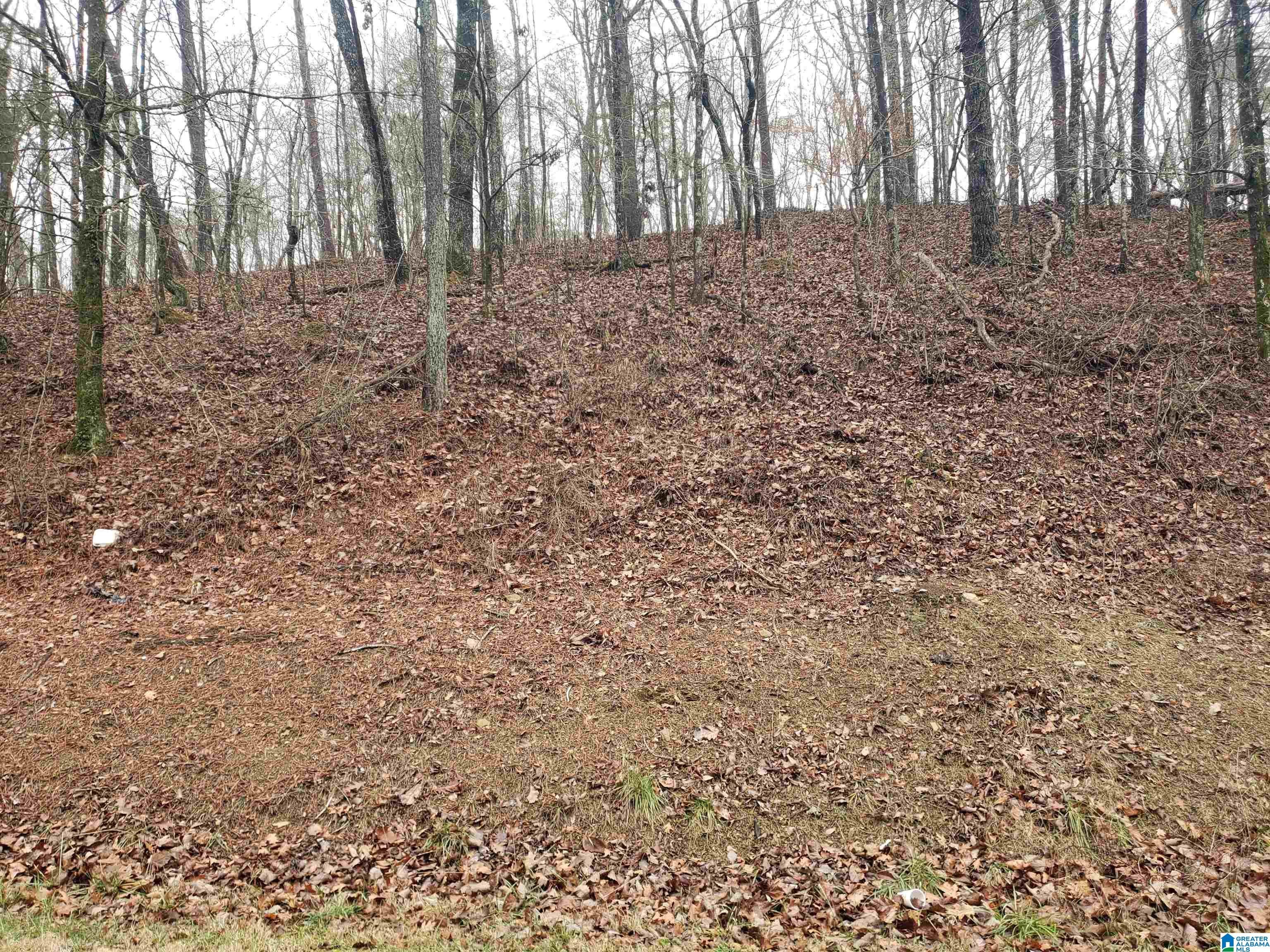 Homes for sale in Gardendale, AL | 4480 Shady Grove Road, Gardendale, AL 35071 | MLS# 21442893