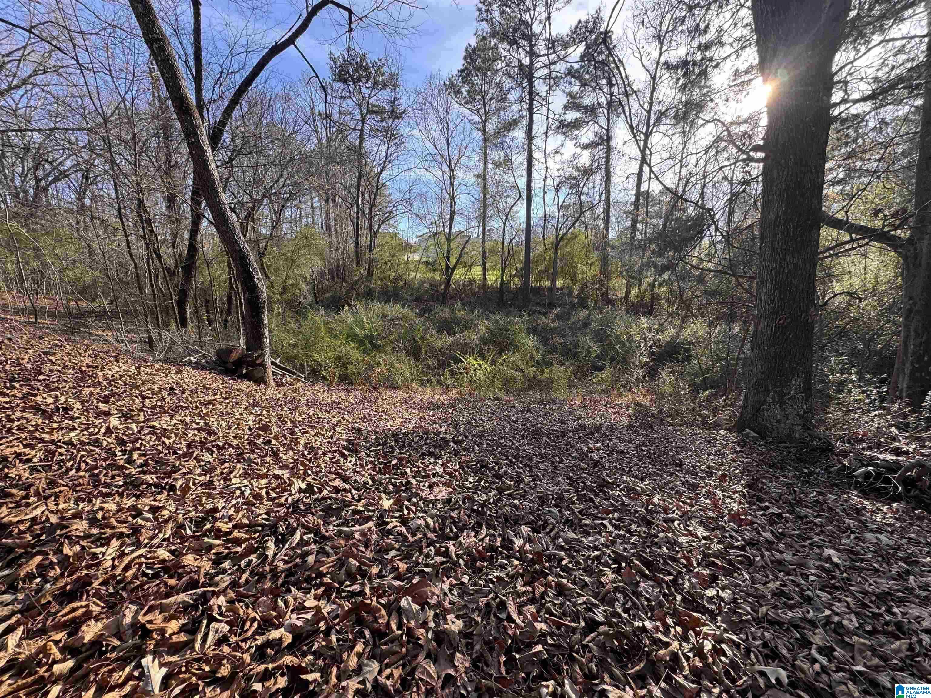 Homes for sale in Pinson, AL | 5415 Clay Palmerdale Road, Pinson, AL 35126 | MLS# 21442896