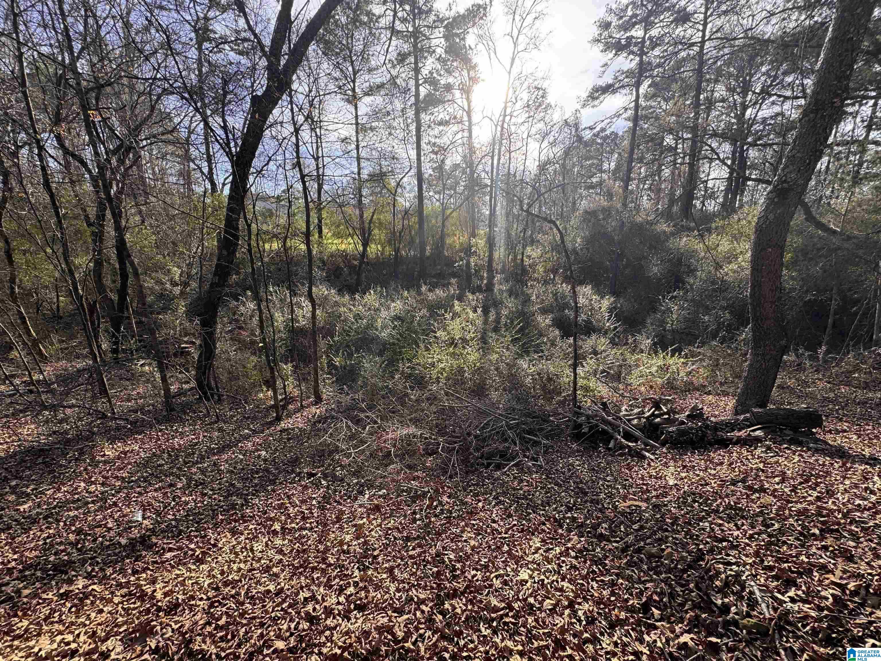 Homes for sale in Pinson, AL | 5415 Clay Palmerdale Road, Pinson, AL 35126 | MLS# 21442896