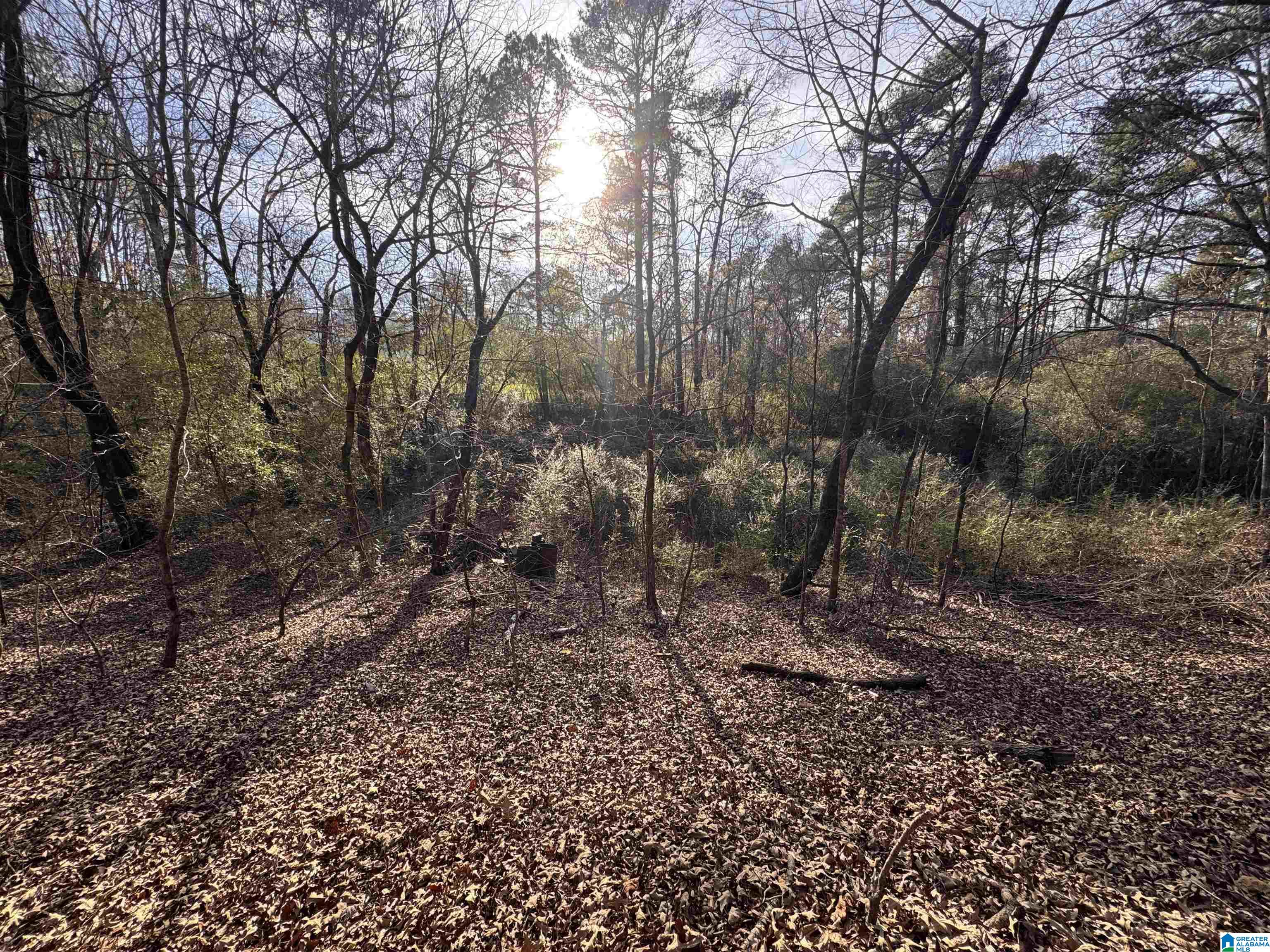 Homes for sale in Pinson, AL | 5415 Clay Palmerdale Road, Pinson, AL 35126 | MLS# 21442896