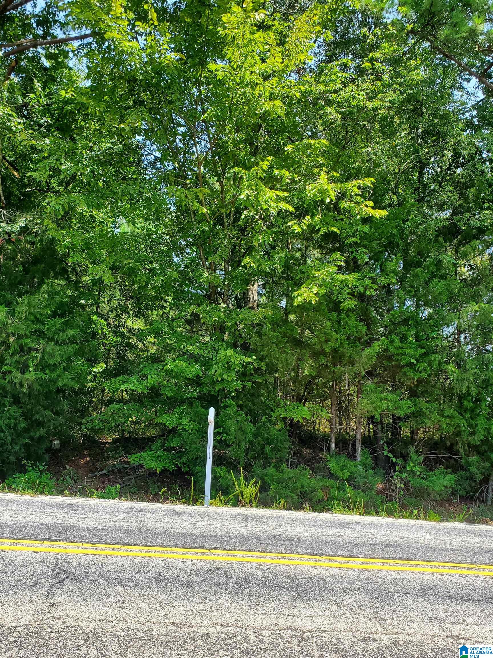 Homes for sale in Lincoln, AL | 0 Stemley Road, Lincoln, AL 35160 | MLS# 21442901