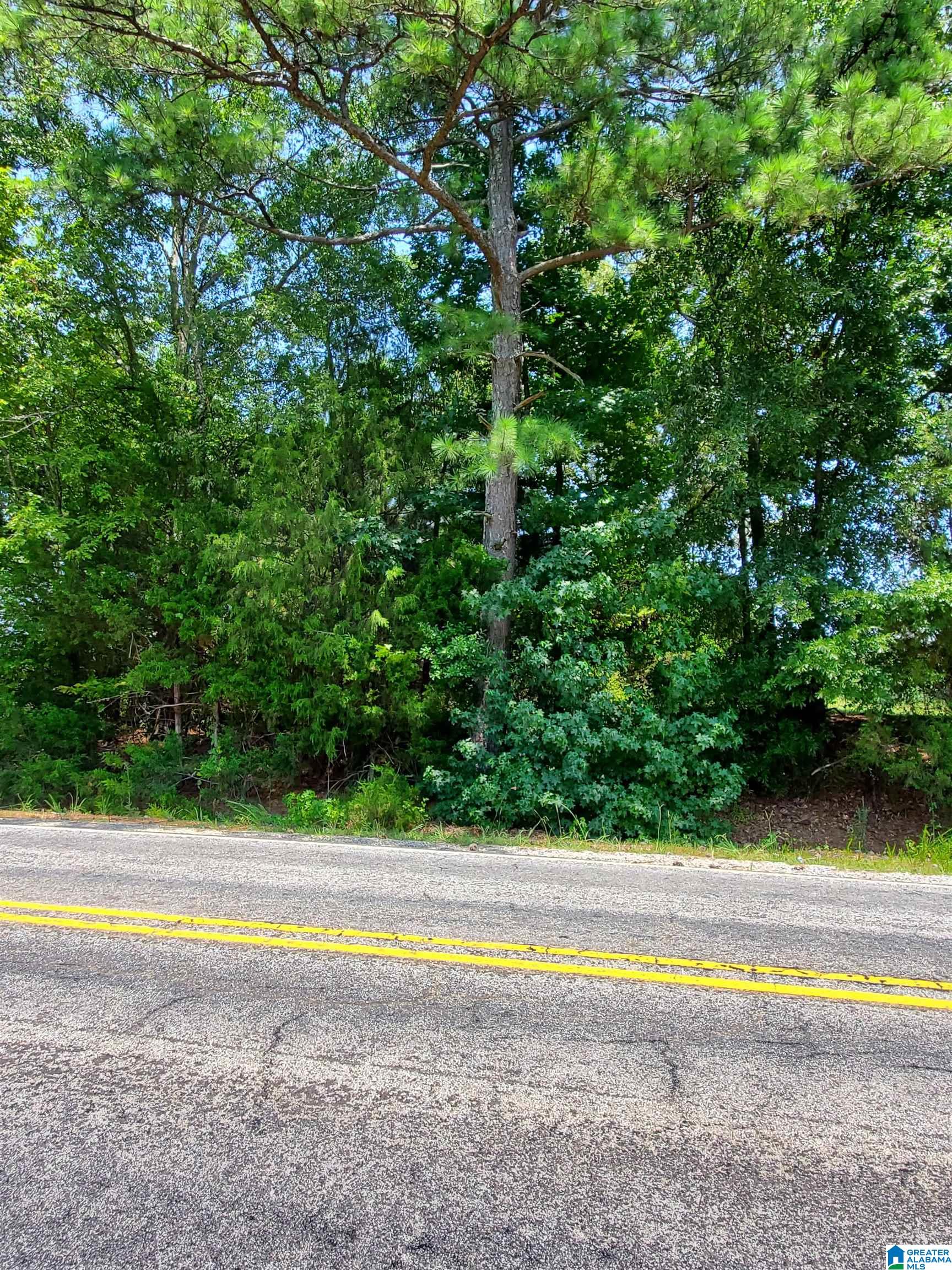 Homes for sale in Lincoln, AL | 0 Stemley Road, Lincoln, AL 35160 | MLS# 21442901