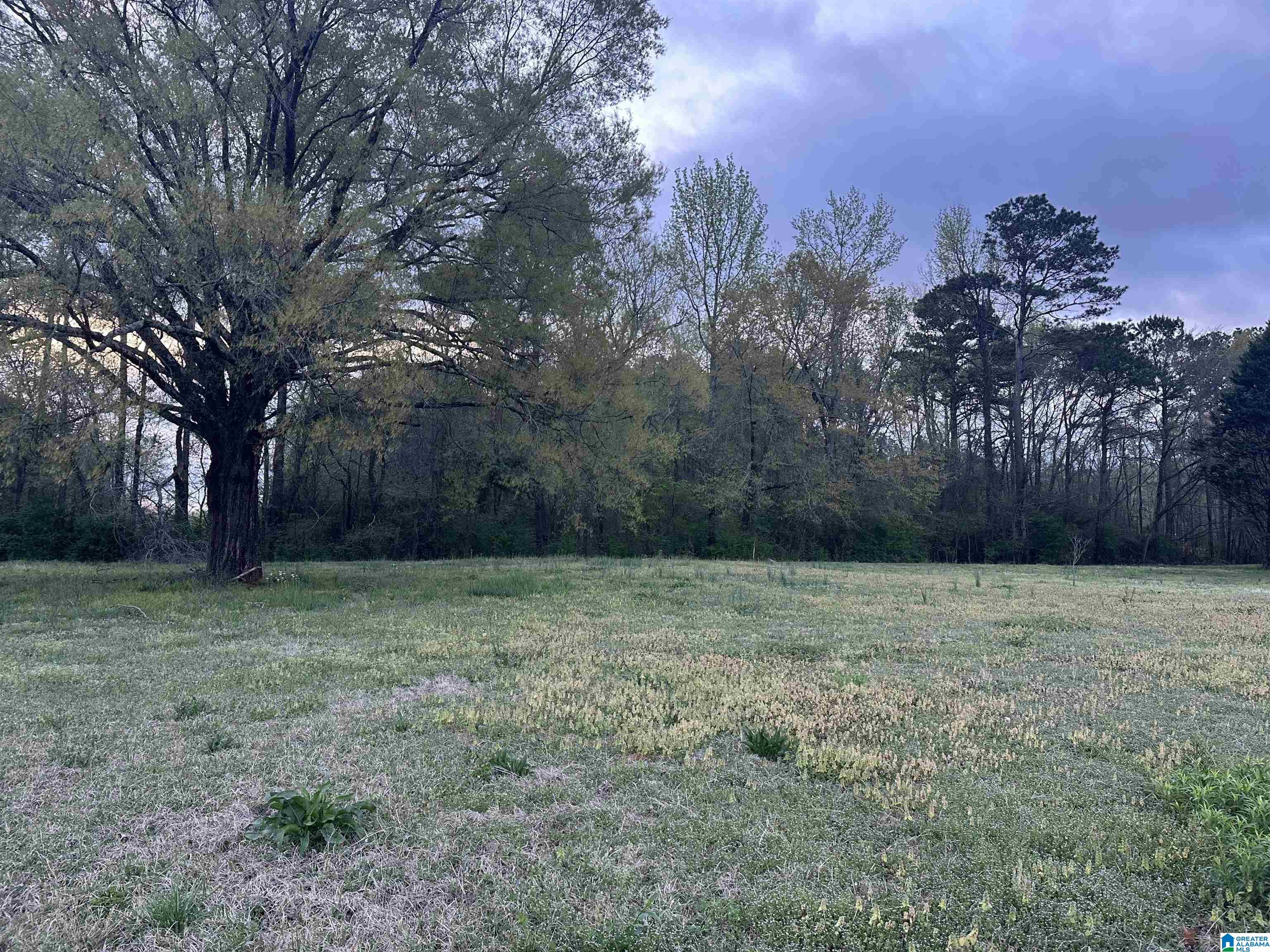 Homes for sale in Oxford, AL | 0 Brookside Lane, Oxford, AL 36203 | MLS# 21442935