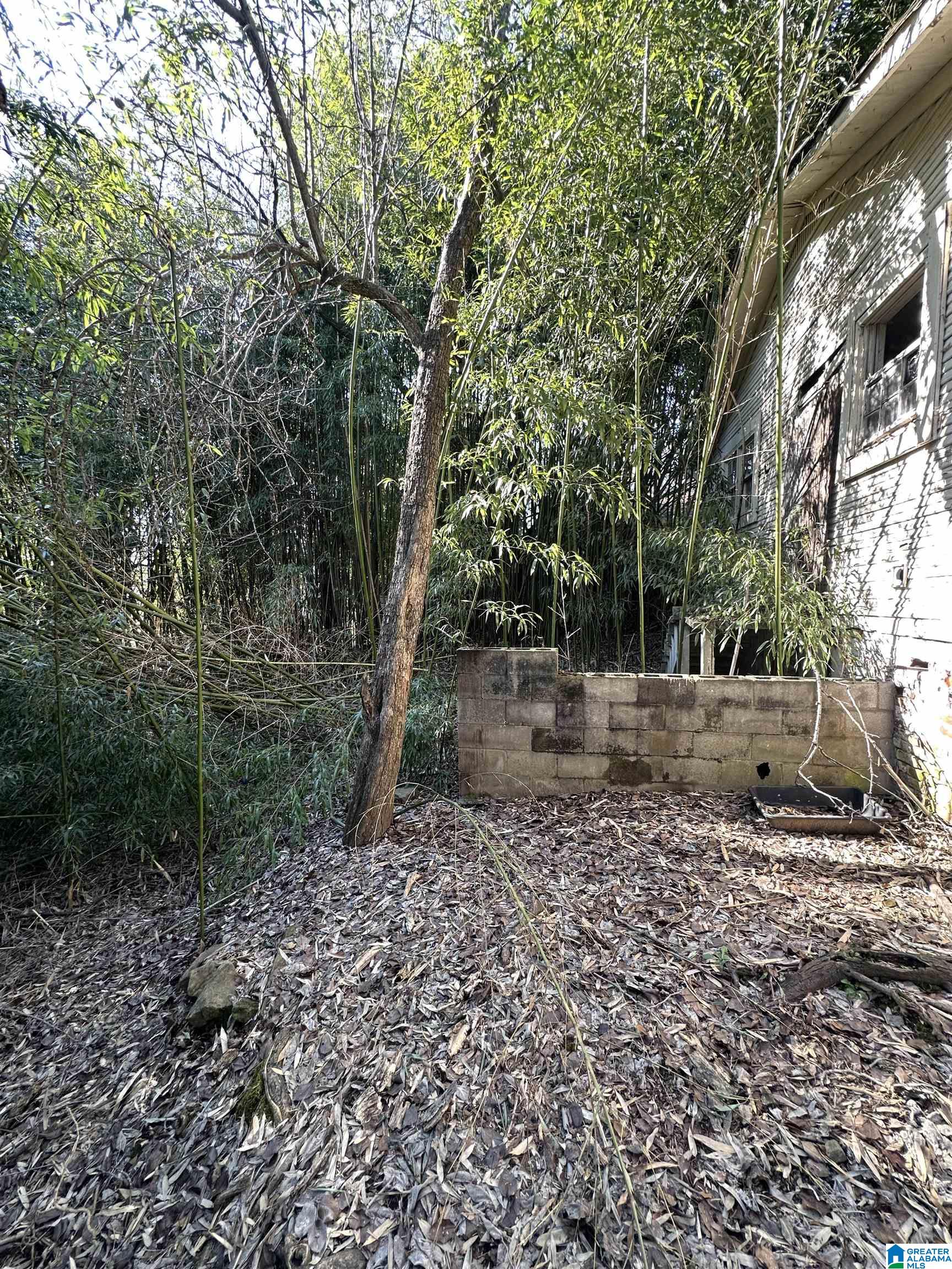 Homes for sale in Birmingham, AL | 4315 5Th Avenue, Birmingham, AL 35224 | MLS# 21442953