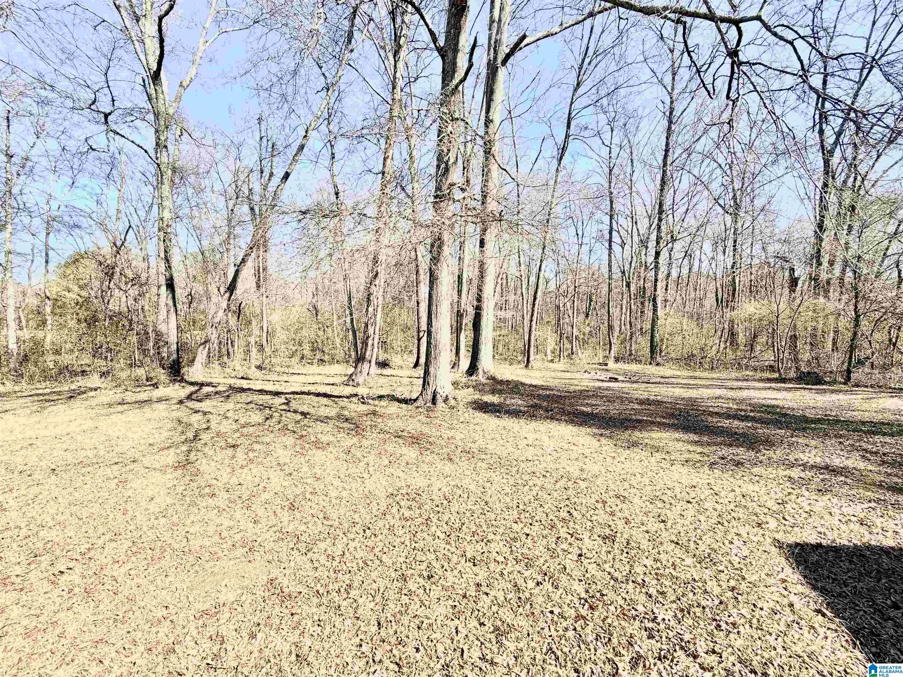 Homes for sale in Centre, AL | 7660 Al Hwy 9 S, Centre, AL 35960 | MLS# 21442977