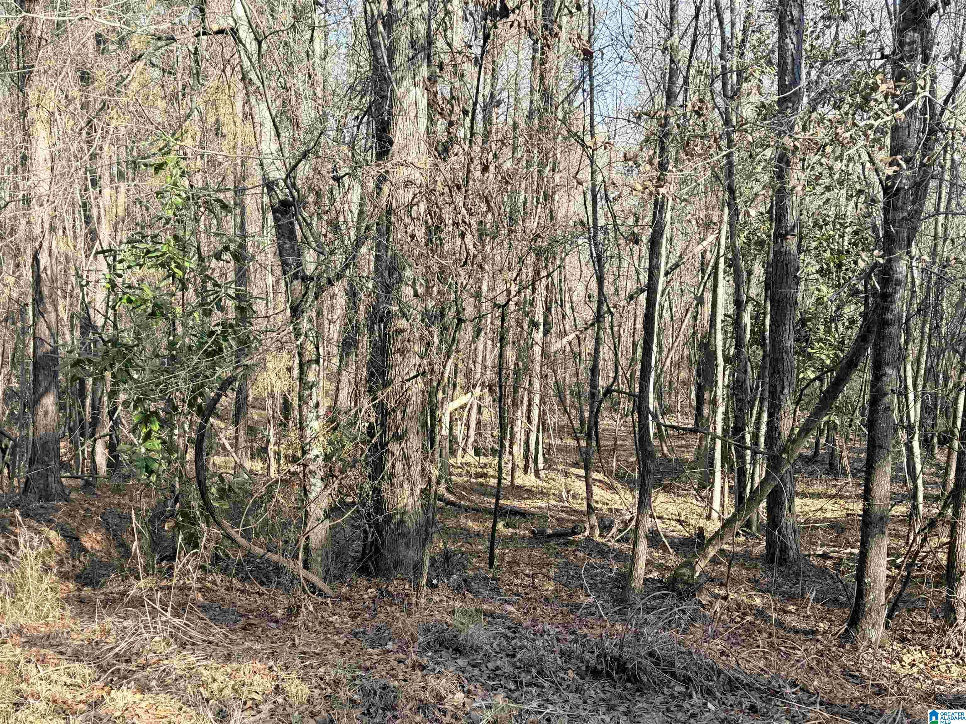 Homes for sale in Glencoe, AL | 0 Highland Street, Glencoe, AL 35903 | MLS# 21442995