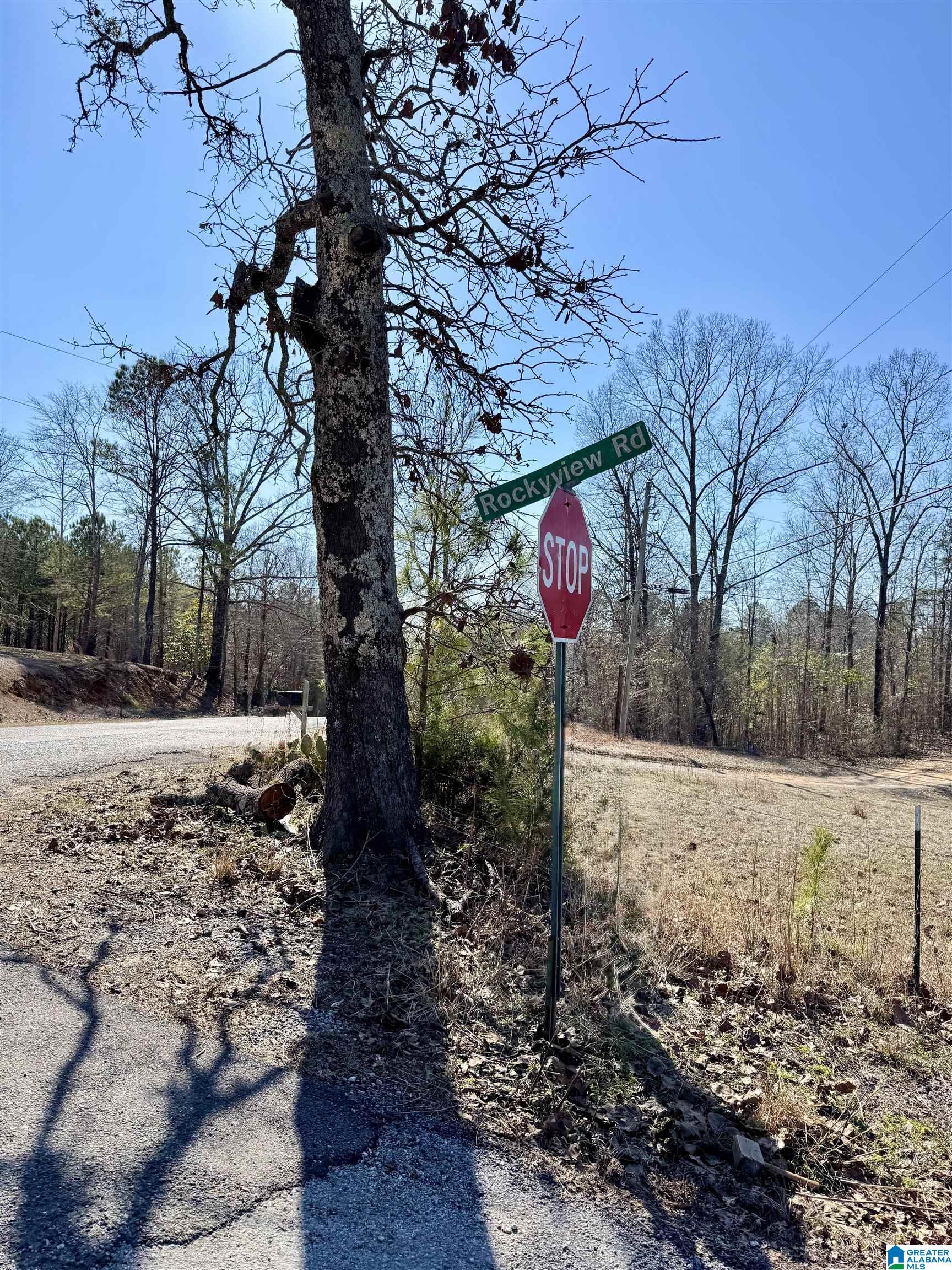 Homes for sale in West Blocton, AL | 28 Rockyview Road, West Blocton, AL 35184 | MLS# 21443003