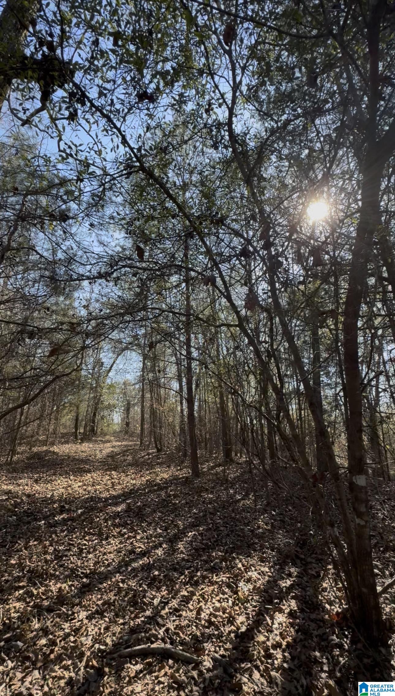 Homes for sale in West Blocton, AL | 10 Rockyview Road, West Blocton, AL 35184 | MLS# 21443004