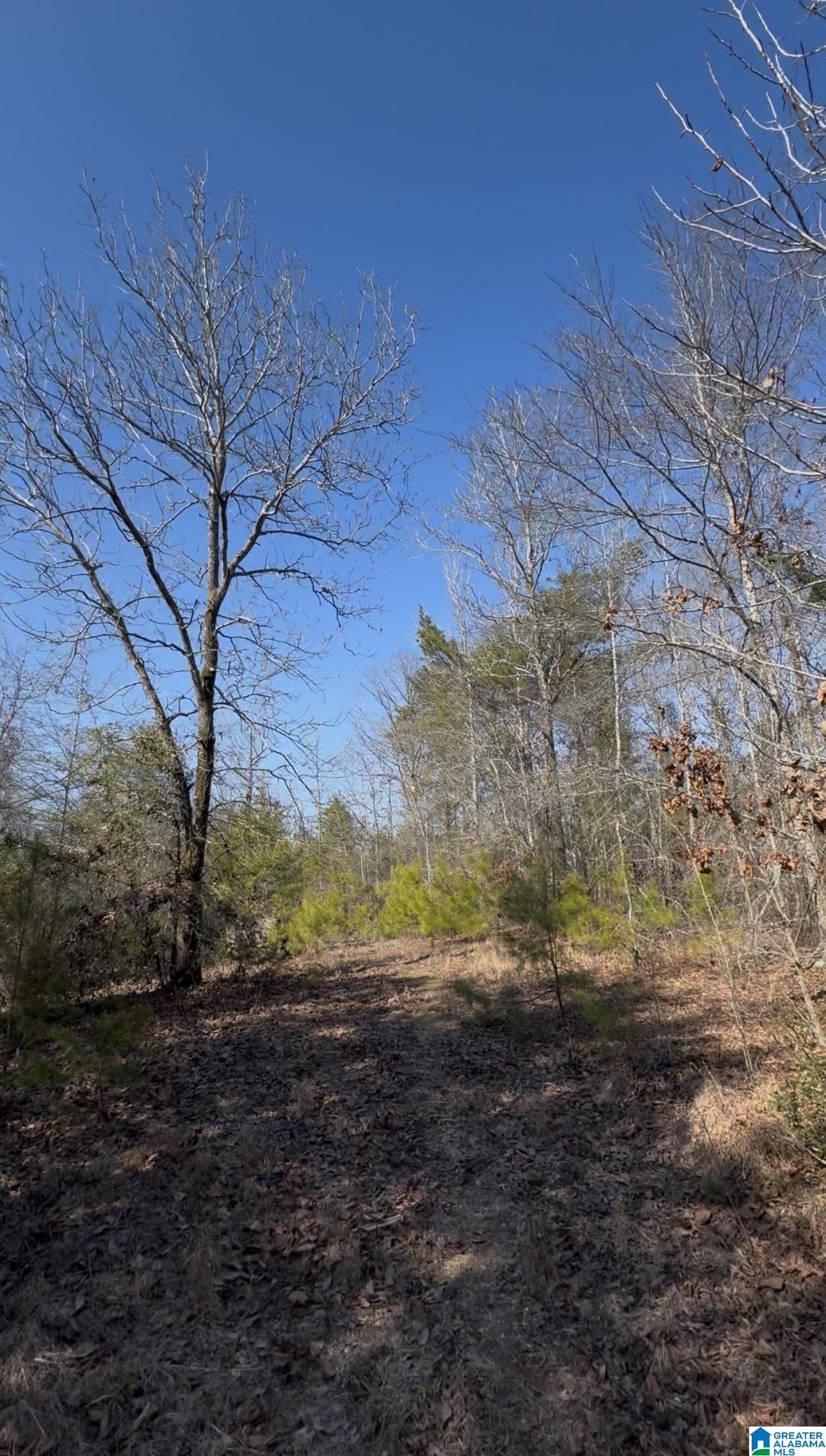 Homes for sale in West Blocton, AL | 10 Rockyview Road, West Blocton, AL 35184 | MLS# 21443004