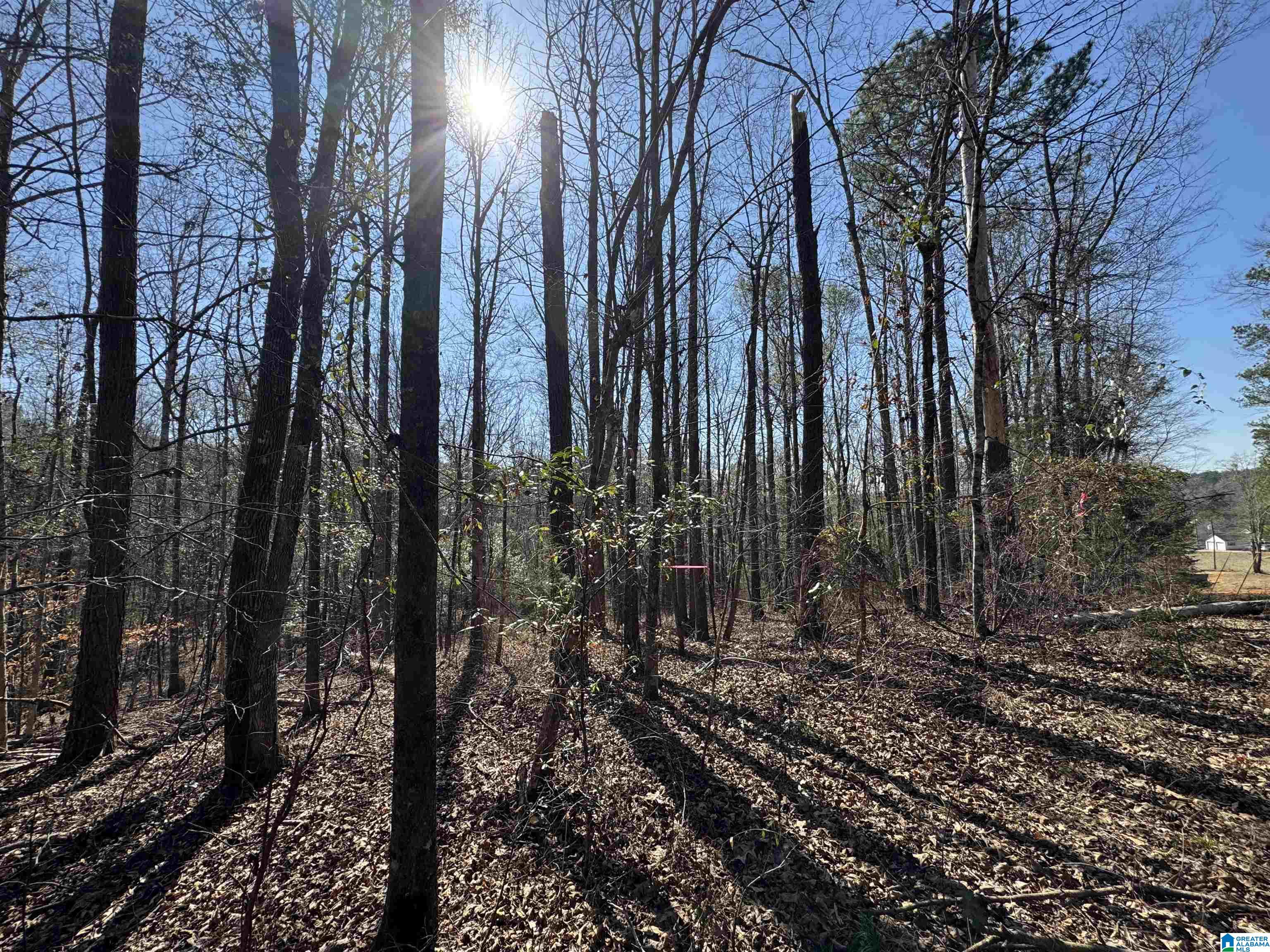 Homes for sale in West Blocton, AL | 7 Rockyview Road, West Blocton, AL 35184 | MLS# 21443005