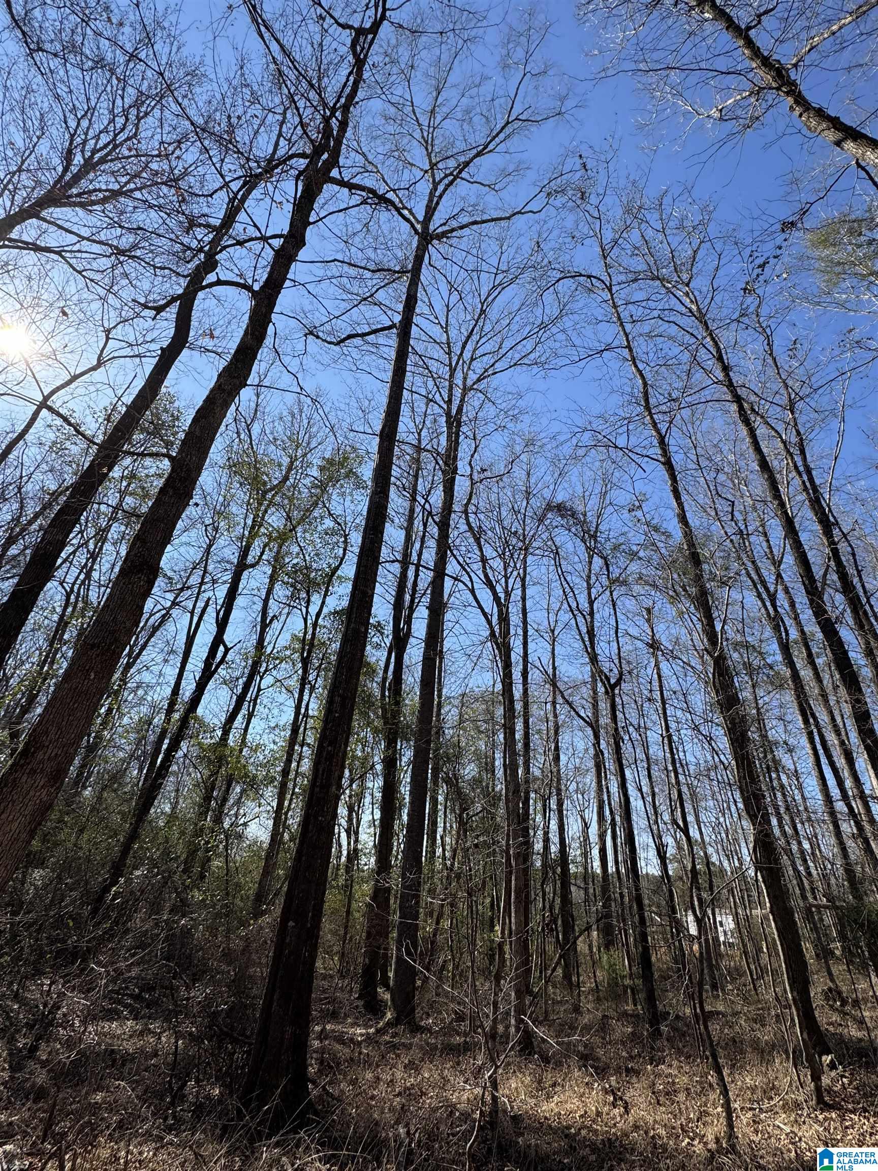 Homes for sale in West Blocton, AL | 7 Rockyview Road, West Blocton, AL 35184 | MLS# 21443005