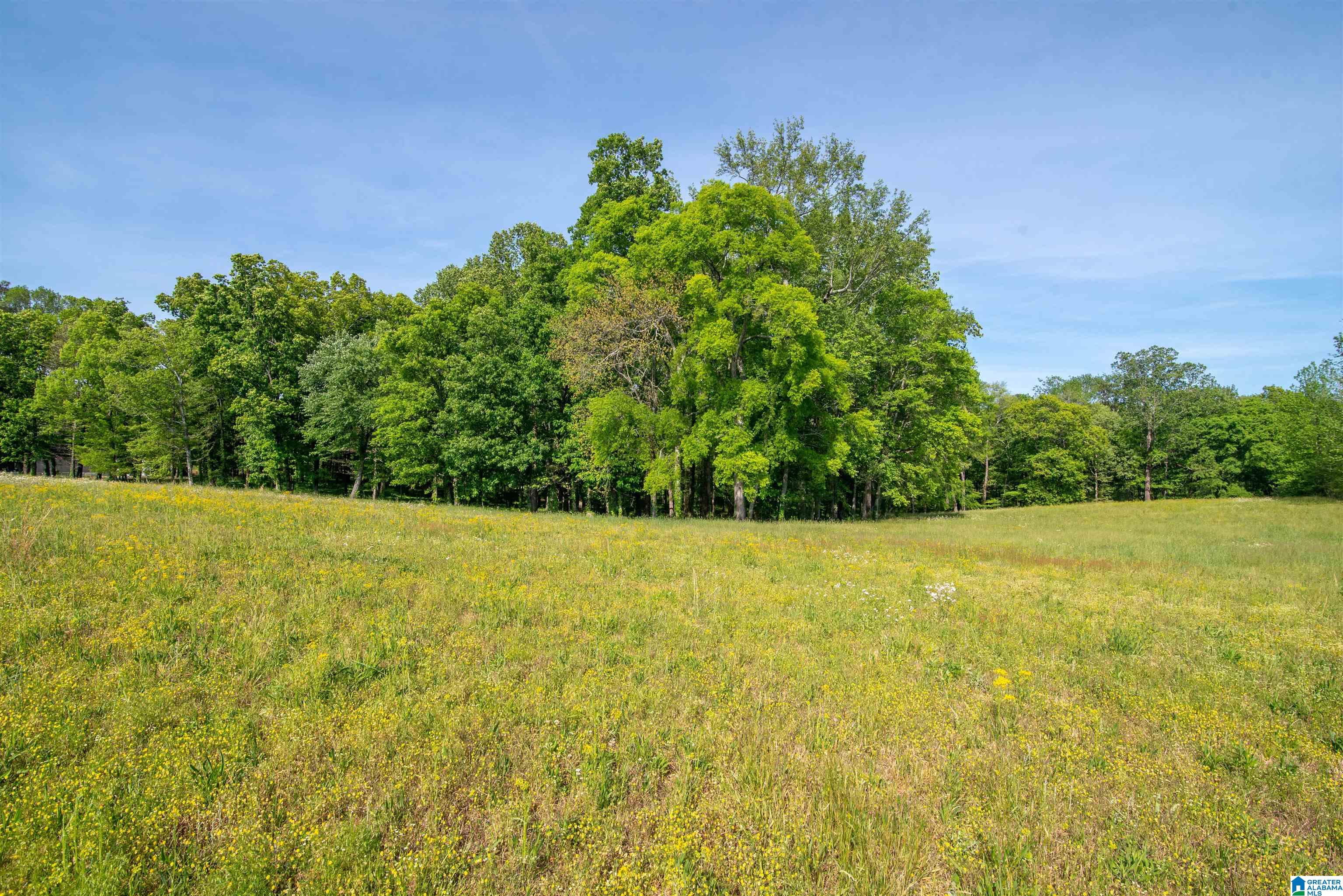 Homes for sale in Somerville, AL | 0 Apple Grove Road, Somerville, AL 35670 | MLS# 21443006