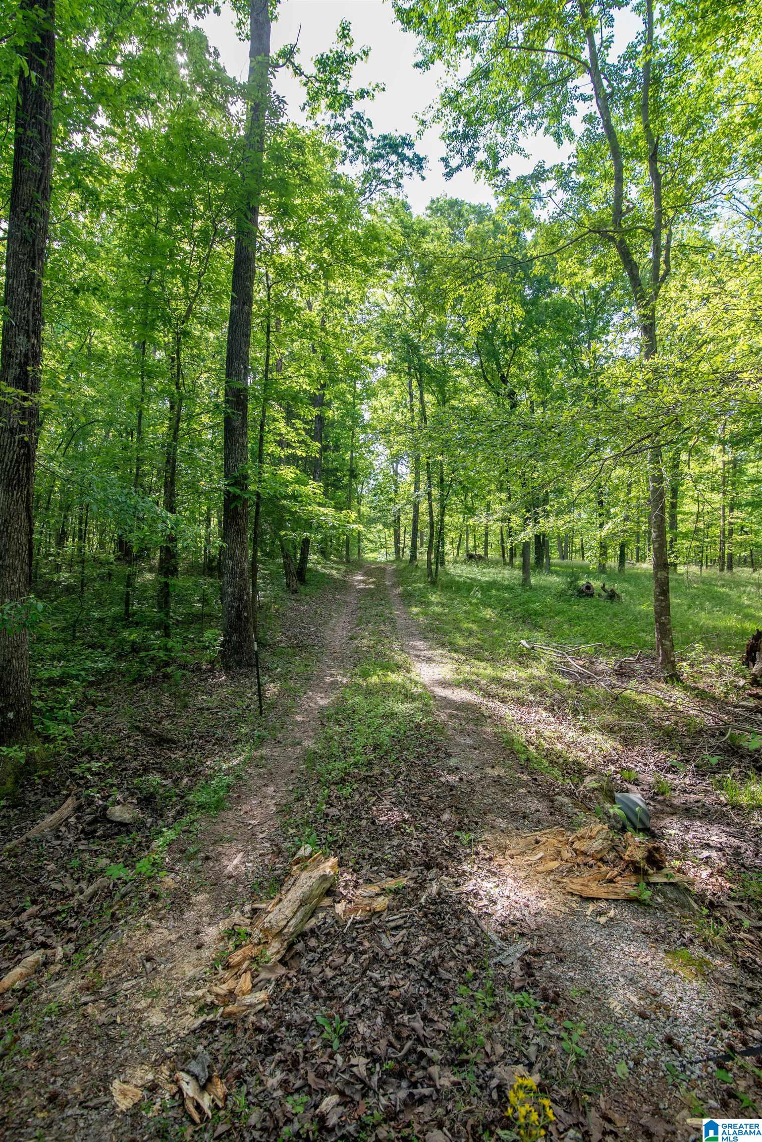 Homes for sale in Somerville, AL | 0 Apple Grove Road, Somerville, AL 35670 | MLS# 21443006