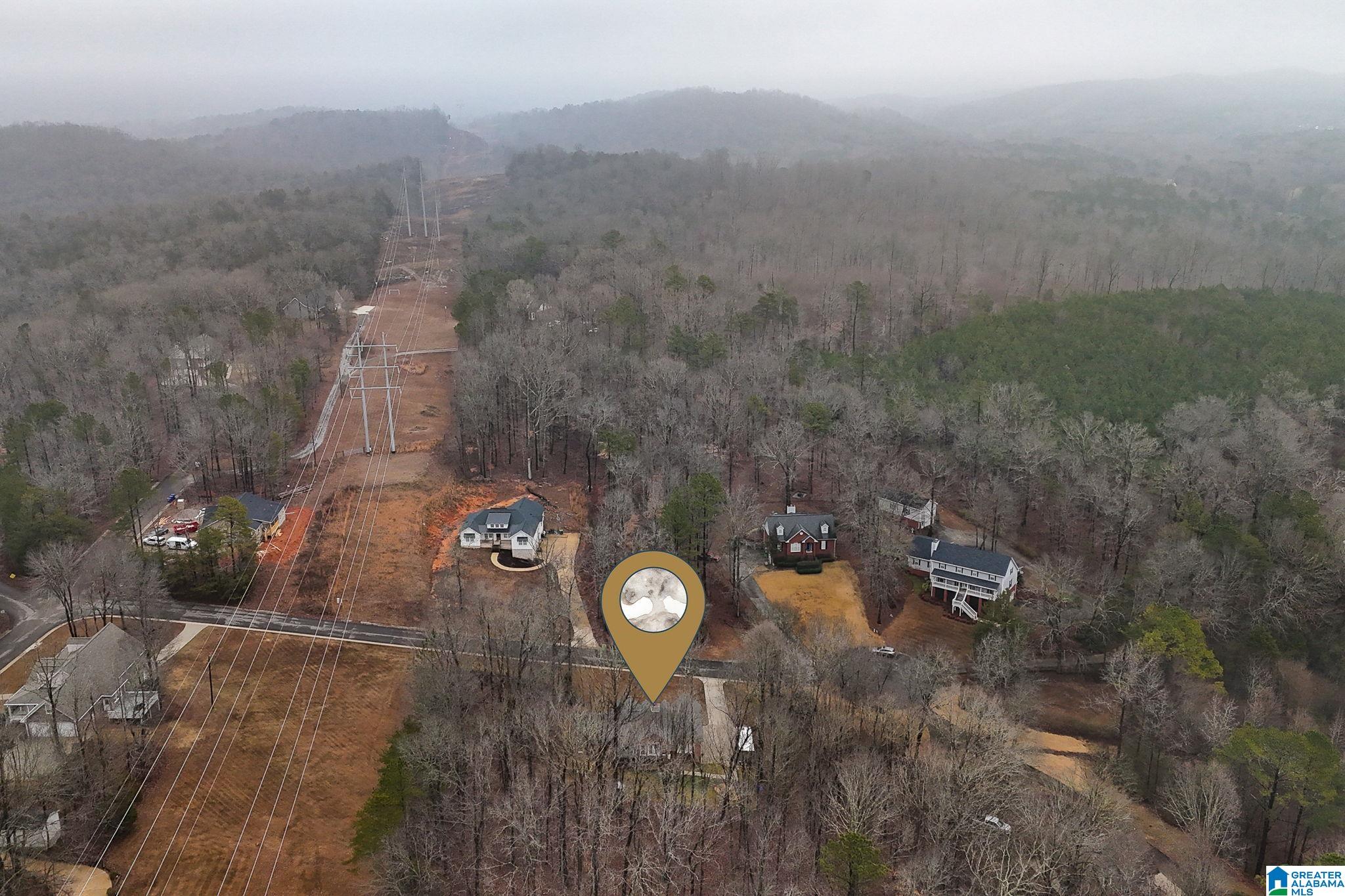 Homes for sale in Springville, AL | 110 Heritage Pl, Springville, AL 35146 | MLS# 21443054