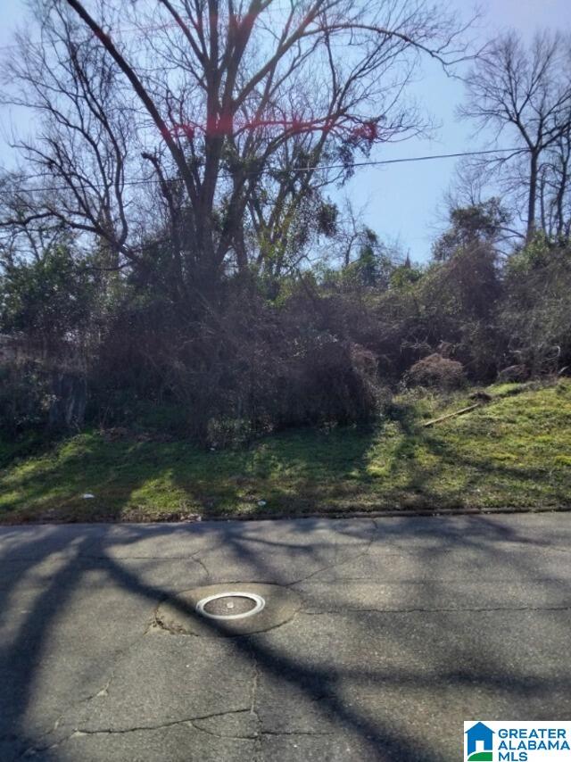 0 DR L.C. MCMILLIAN AVENUE